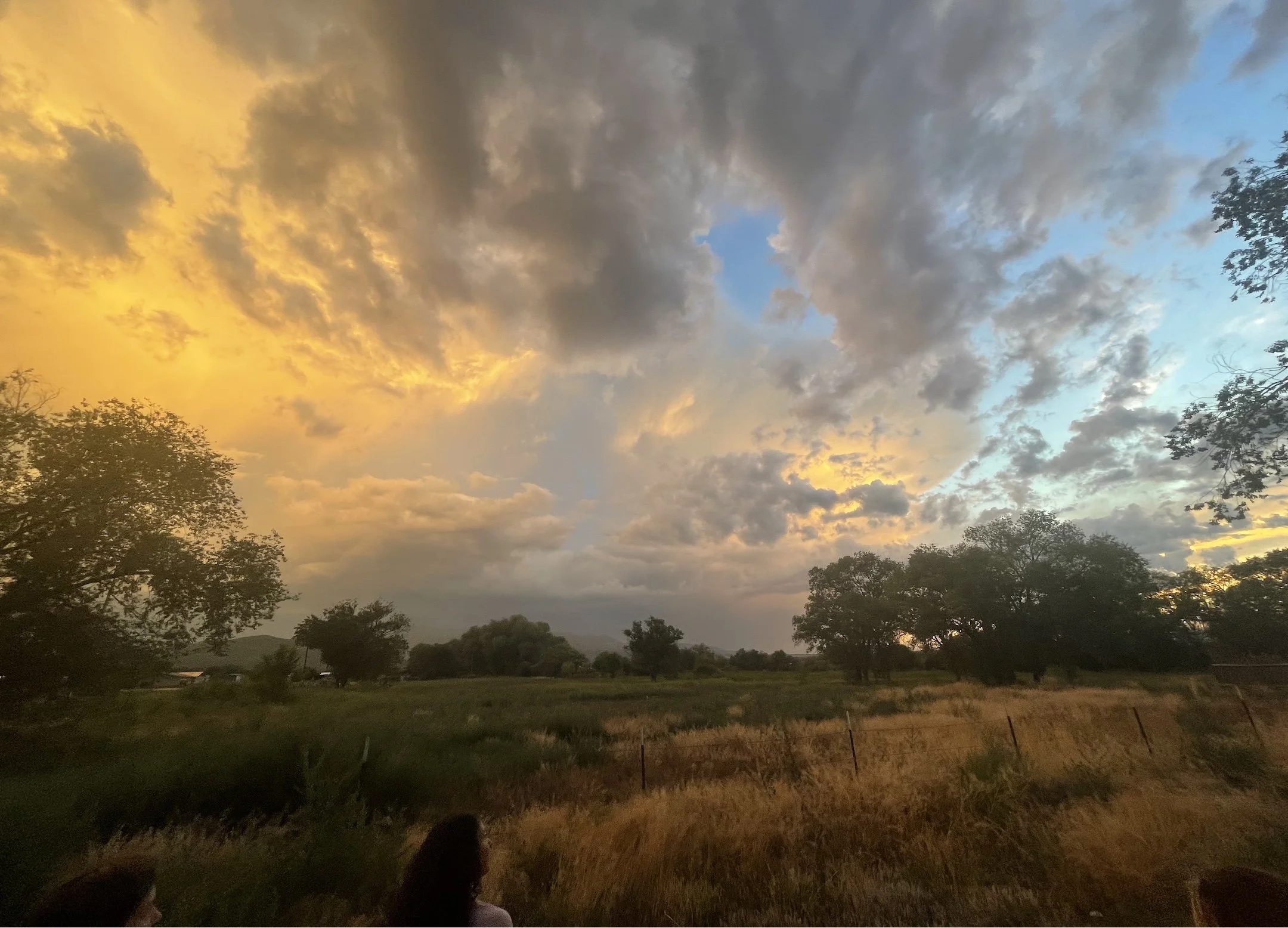 A landscape at sunset with partly cloudy sky, trees, and grassy field.