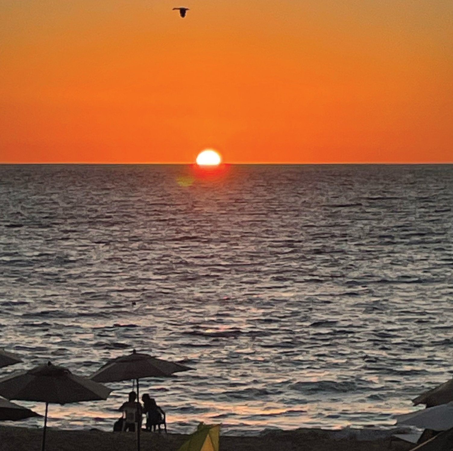 Sunset on the beach with two people sitting under umbrellas and talking, while a bird flys by.