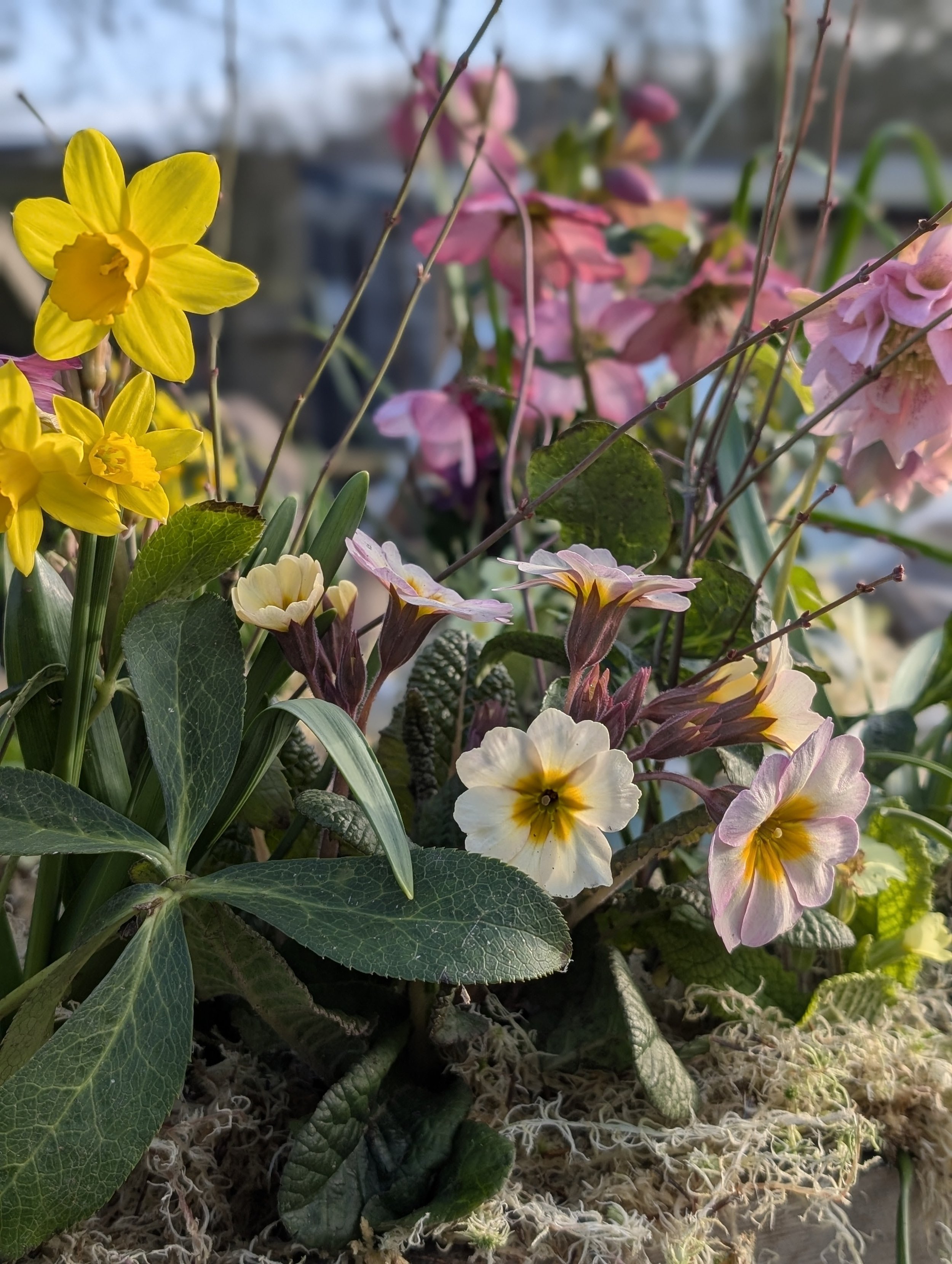 The Hidden Cost of Imported Flowers (and Why British Seasonal Blooms Matter More Than You Think)