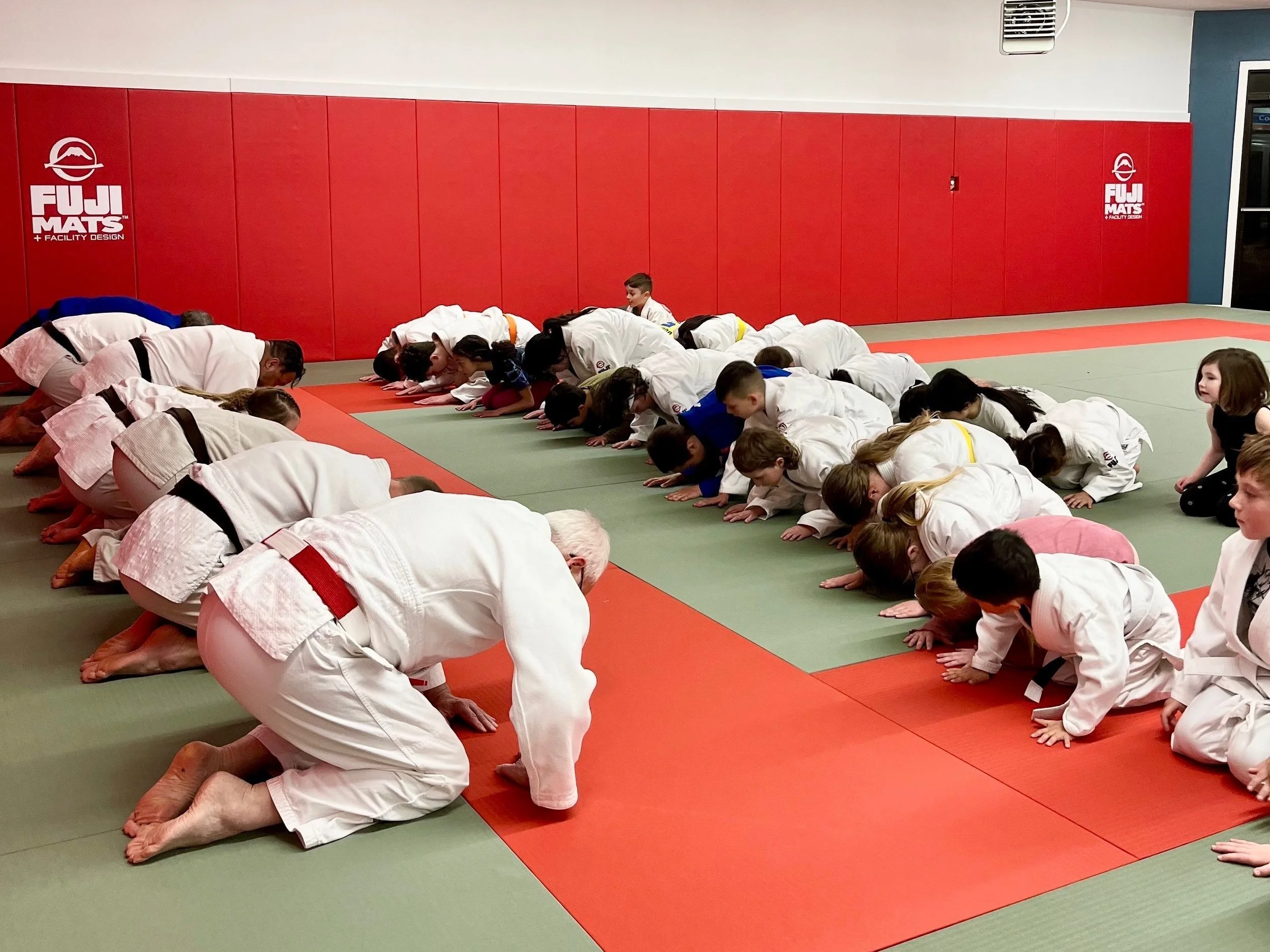 Judo Classes —