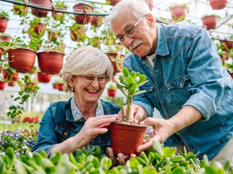 elderly couple gardening
