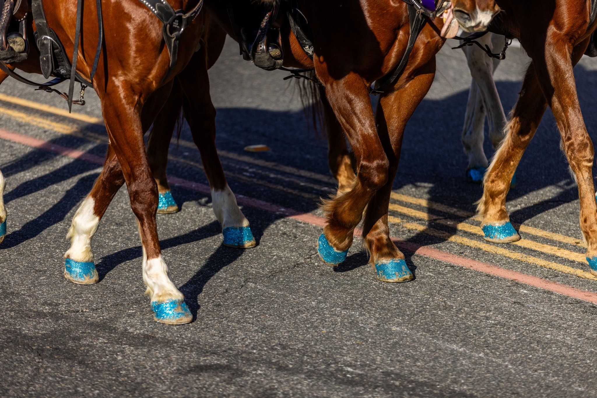 Los Angeles Event Photography Rose Parade-0019.JPG