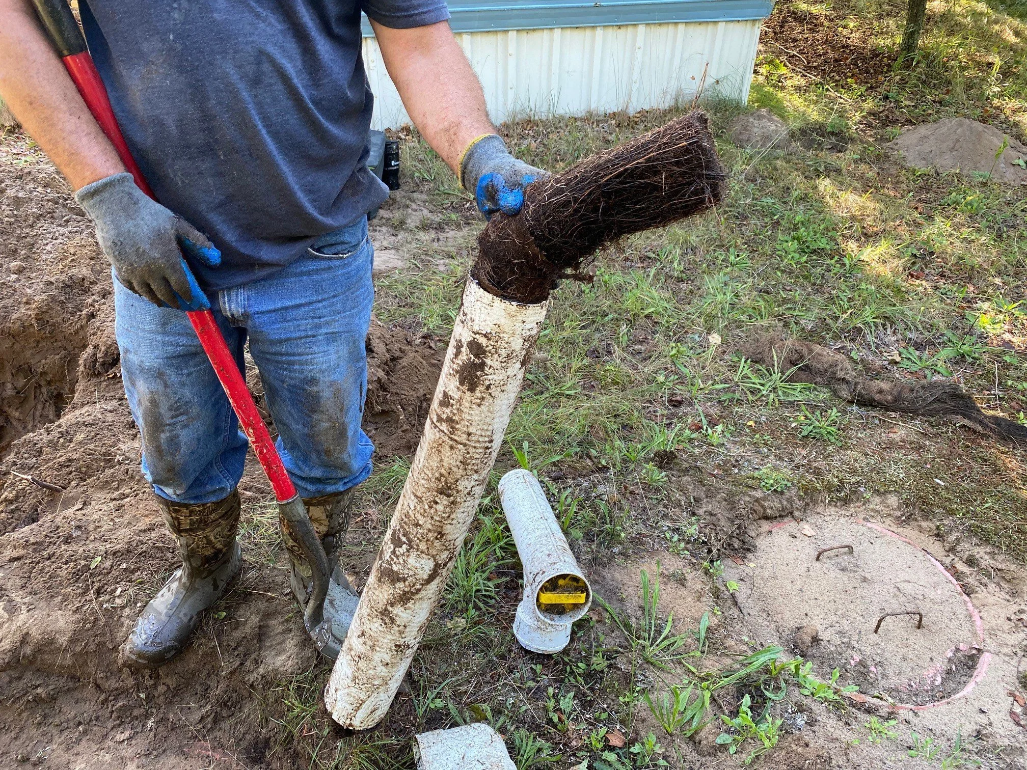 roots in header pipe.jpg