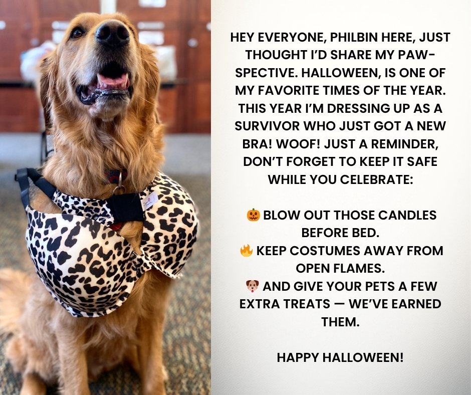 🎃🐾 Philbin’s Paw-spective: Halloween Edition! 🐾🎃
Your favorite golden goofball is back — and this year, my costume comes with a message of empowerment! 💪💙
I’m dressed as a survivor who just got a new bra, and here to remind