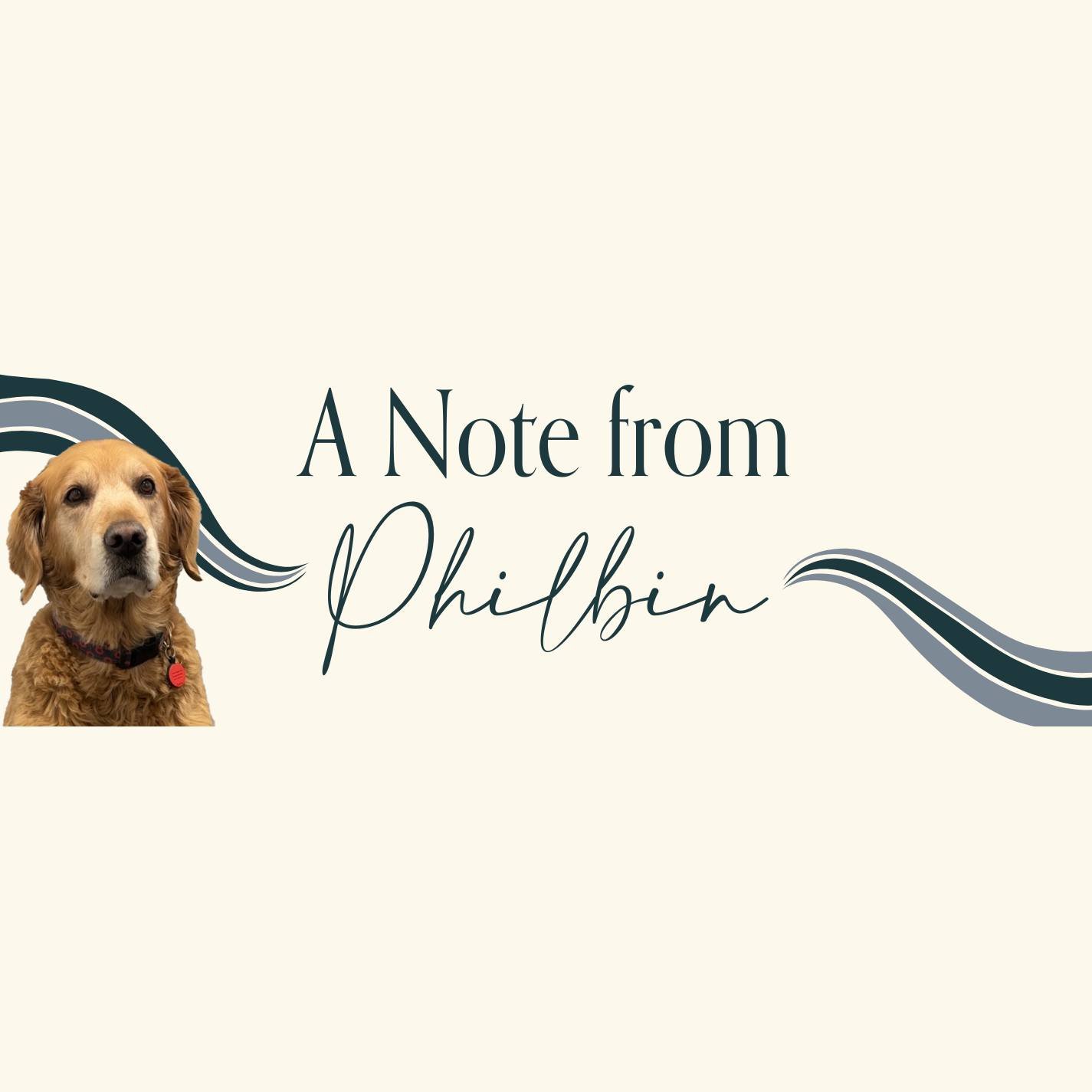 Check out all the great work our Chief Dog Officer, Philbin, has done this year... and what he is wishing for most for his birthday! 🐾  His newsletter can be found on our What's New page - link in bio.