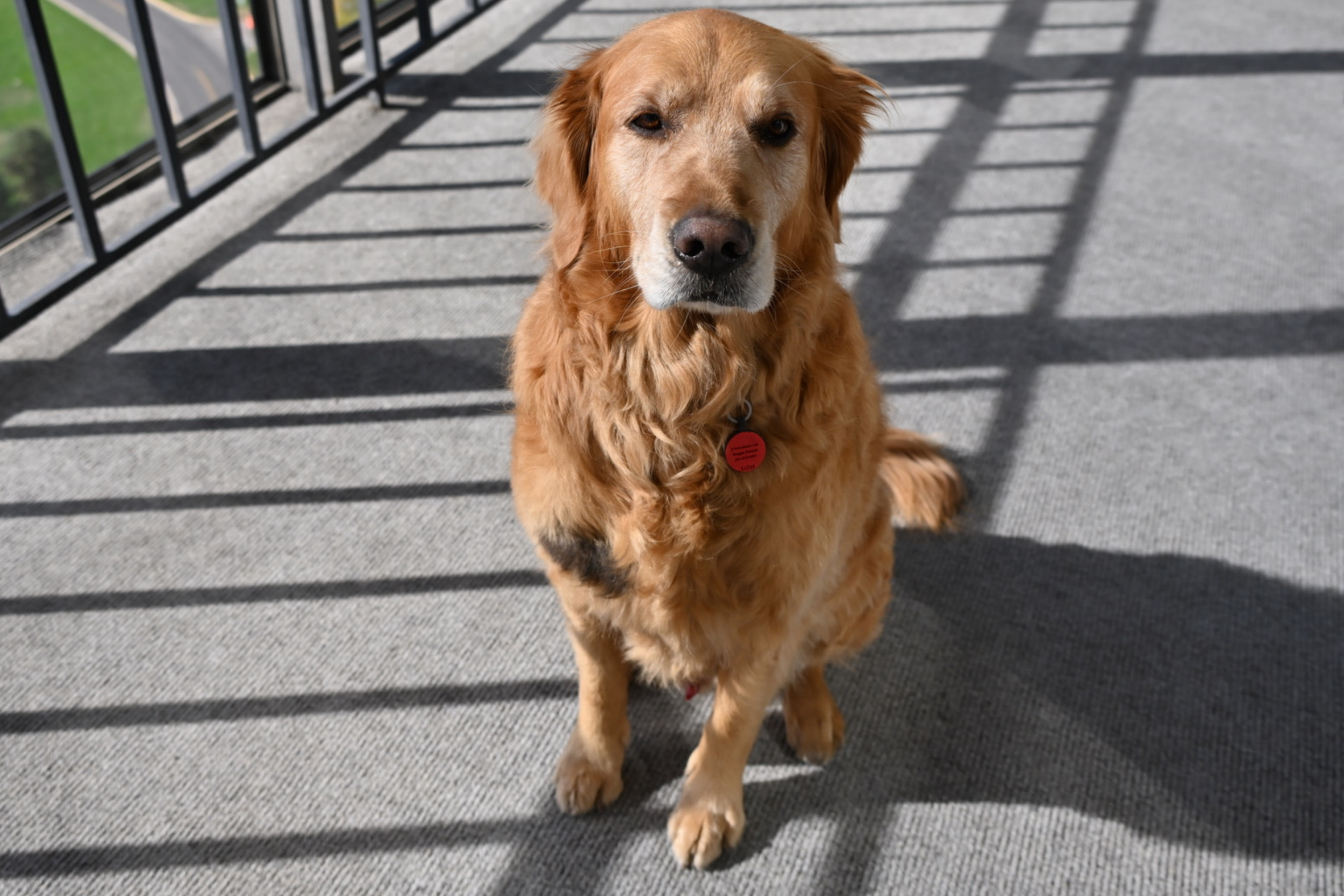 Phil Here: What My Birthday Wish Has To Do With Underwear &amp; Cuddles