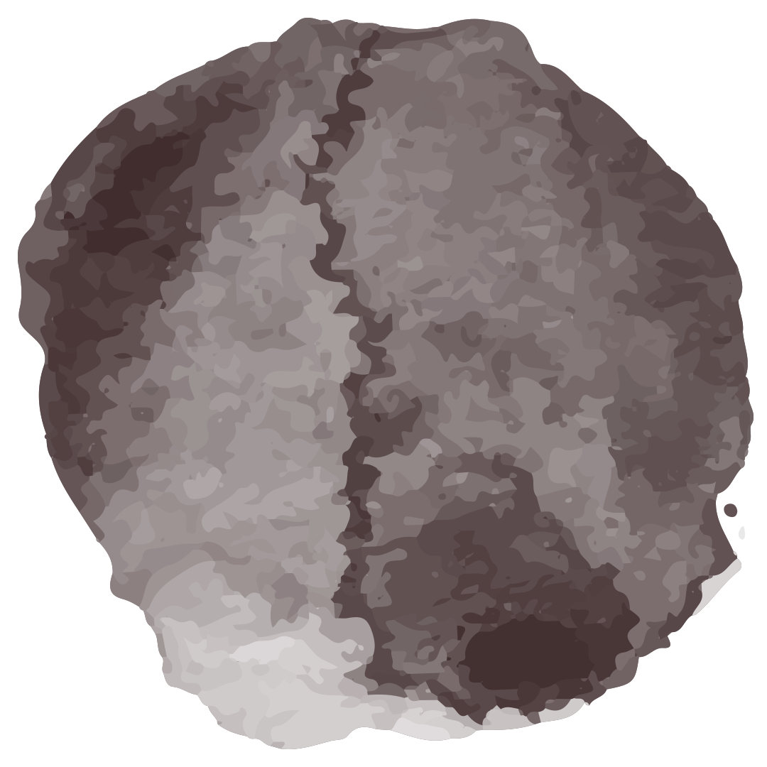 How to Make a Genogram: Map Emotional & Family Patterns (Downloadable ...