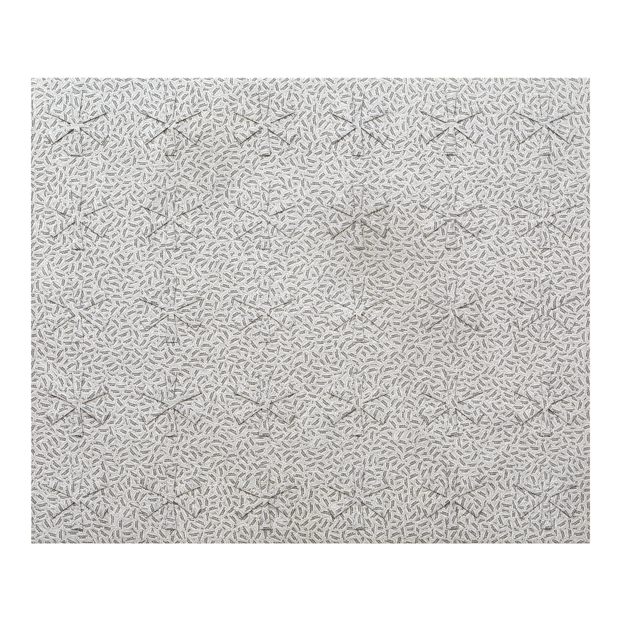 asterflake2024001 w main.jpg