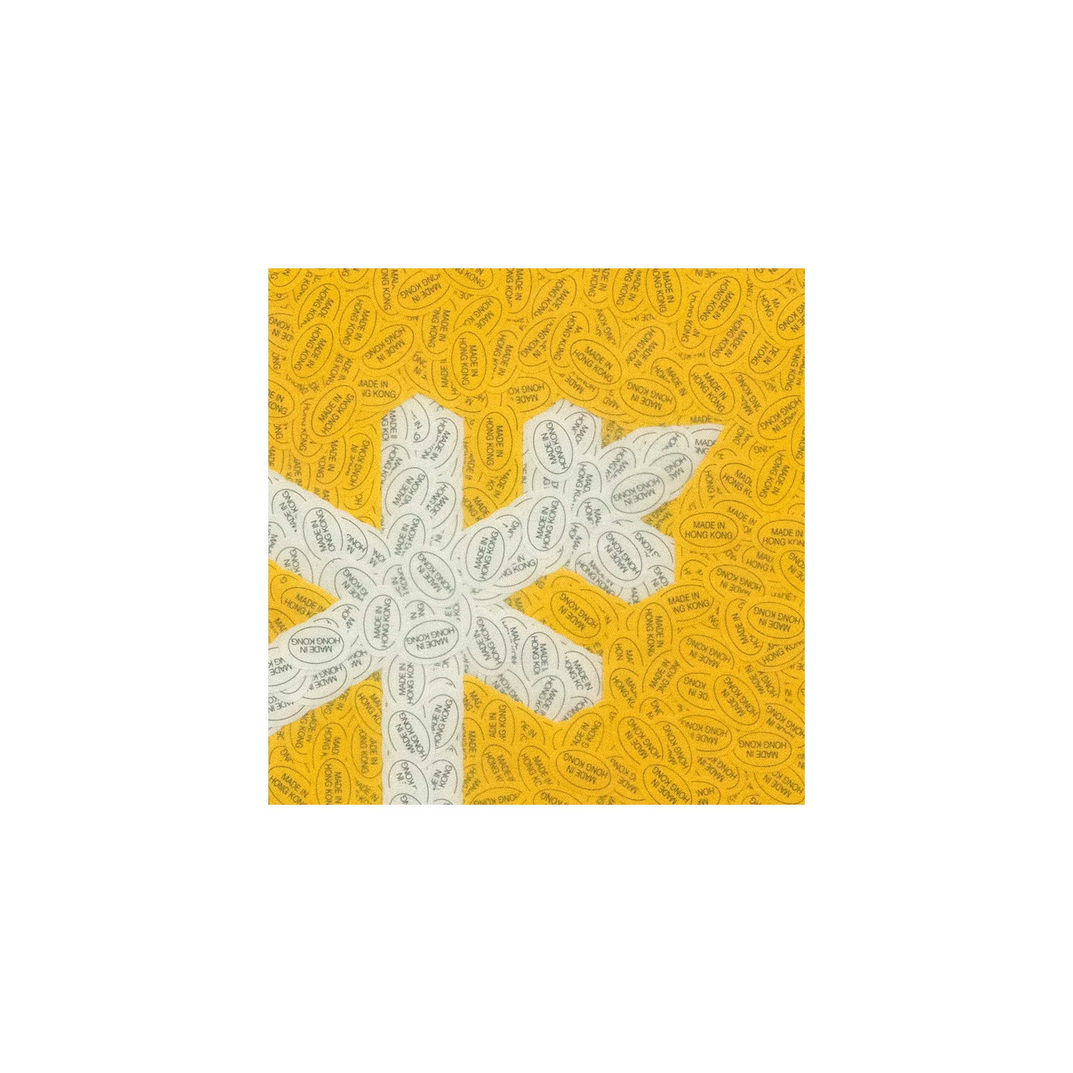 Asterflakes 7 cu.jpg
