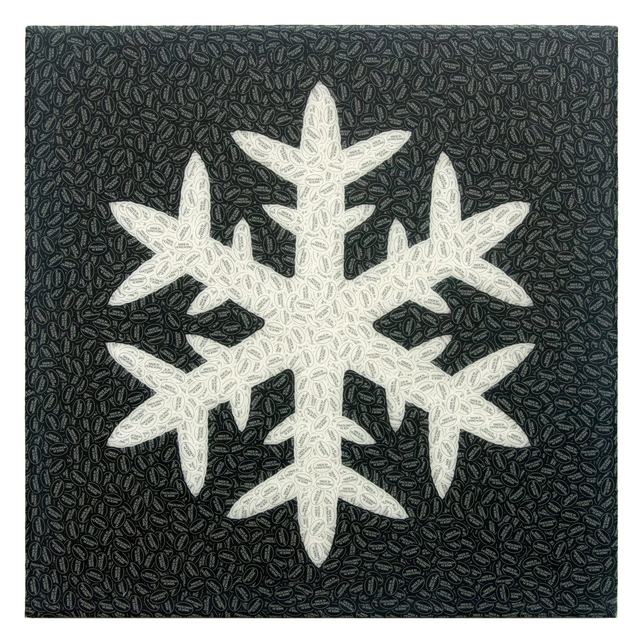 Asterflakes 4