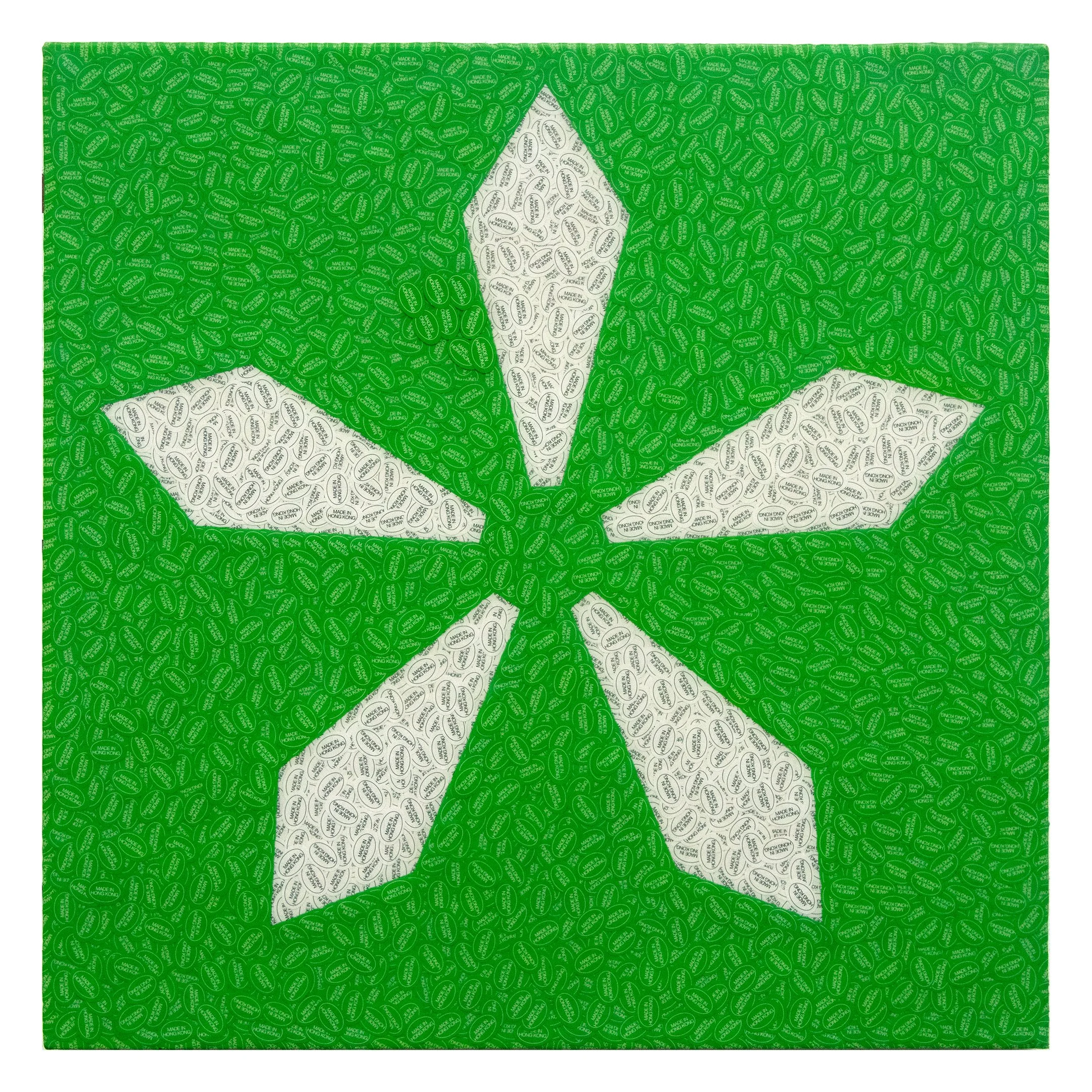 Asterflakes 6
