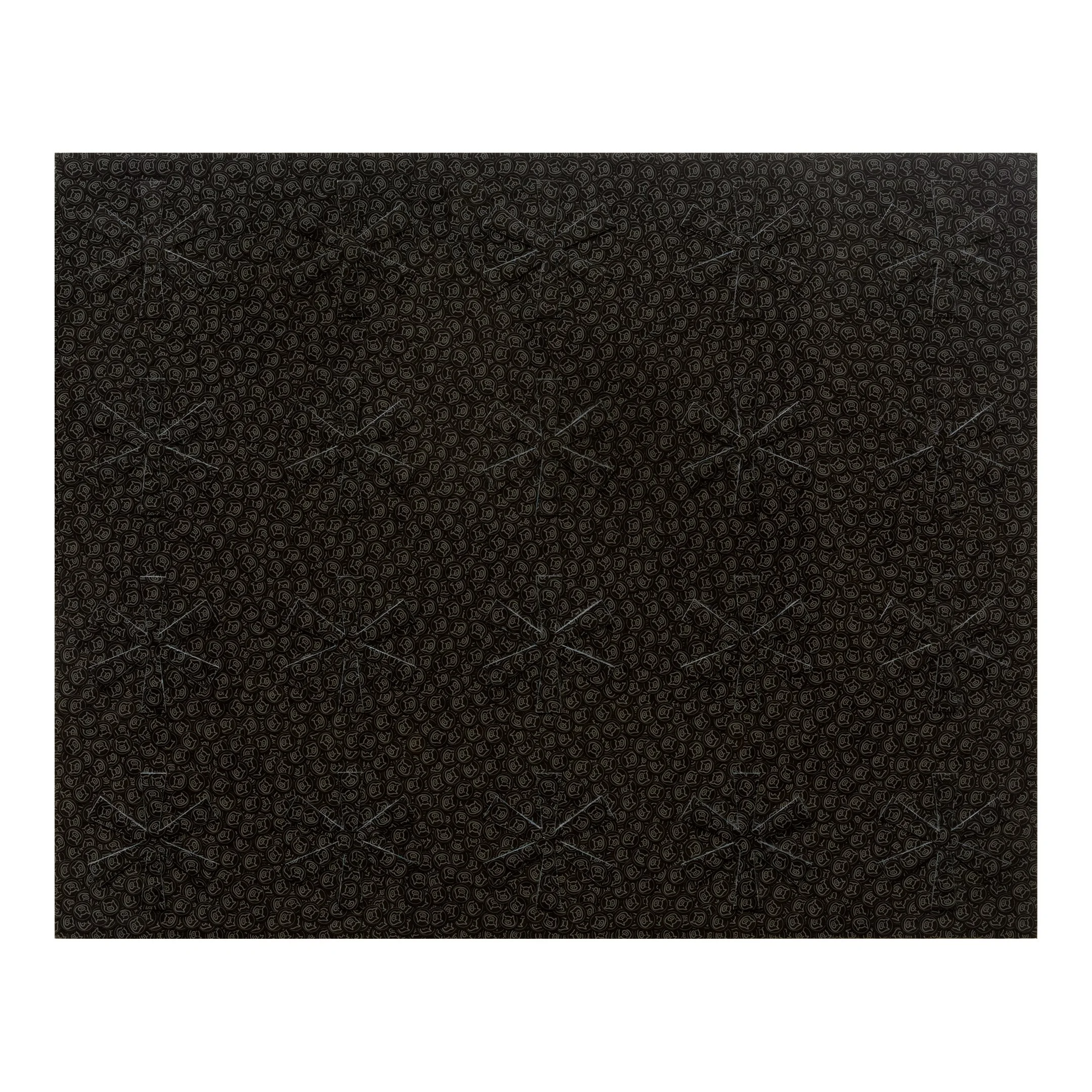 asterflake2024004 w main.jpg