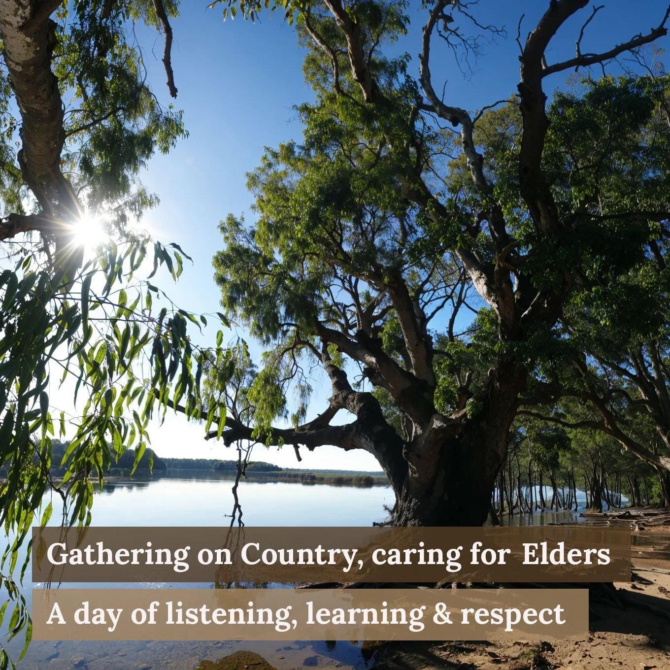 Gathering on Country, caring for Elders: A day of listening, learning &amp; respect&nbsp;