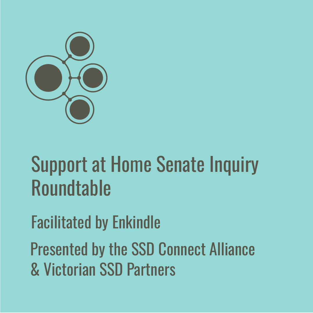 Support at Home Senate Inquiry Roundtable | Mainstream provider #1