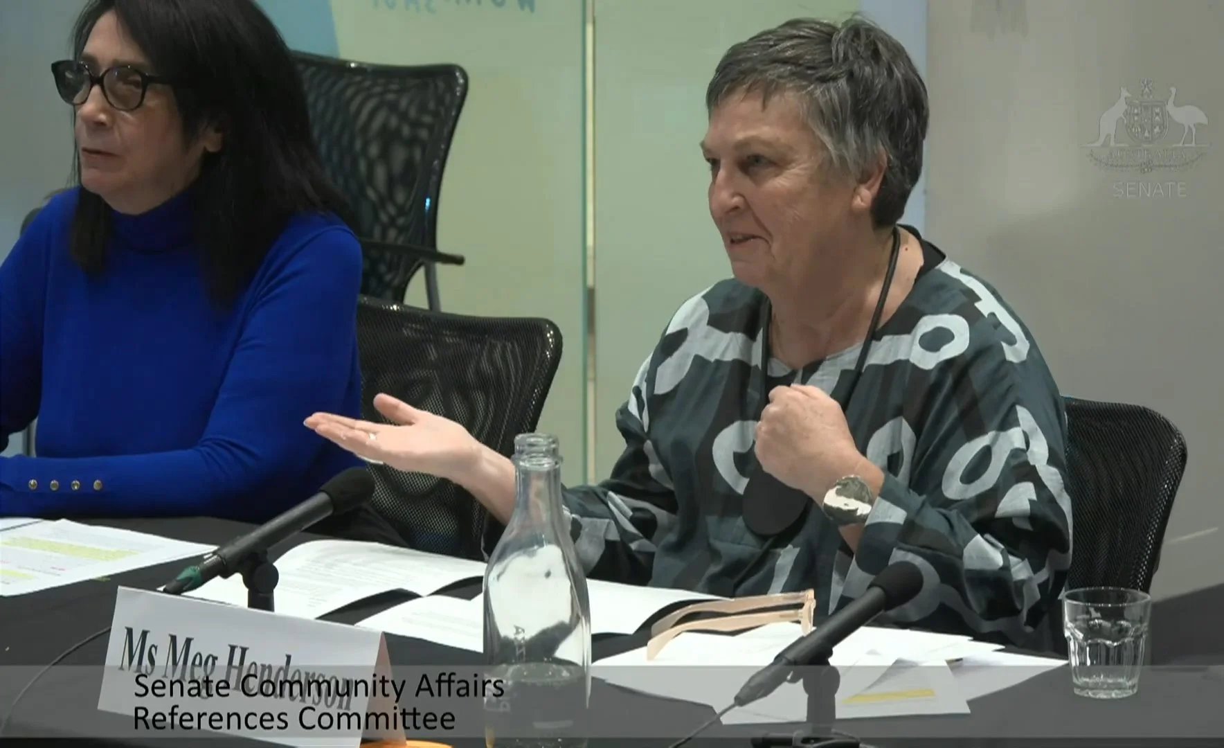 Meg Henderson speaks at the Senate Community Affairs References Committee hearing in Melbourne, with Anna Makedonskaya seated beside her.