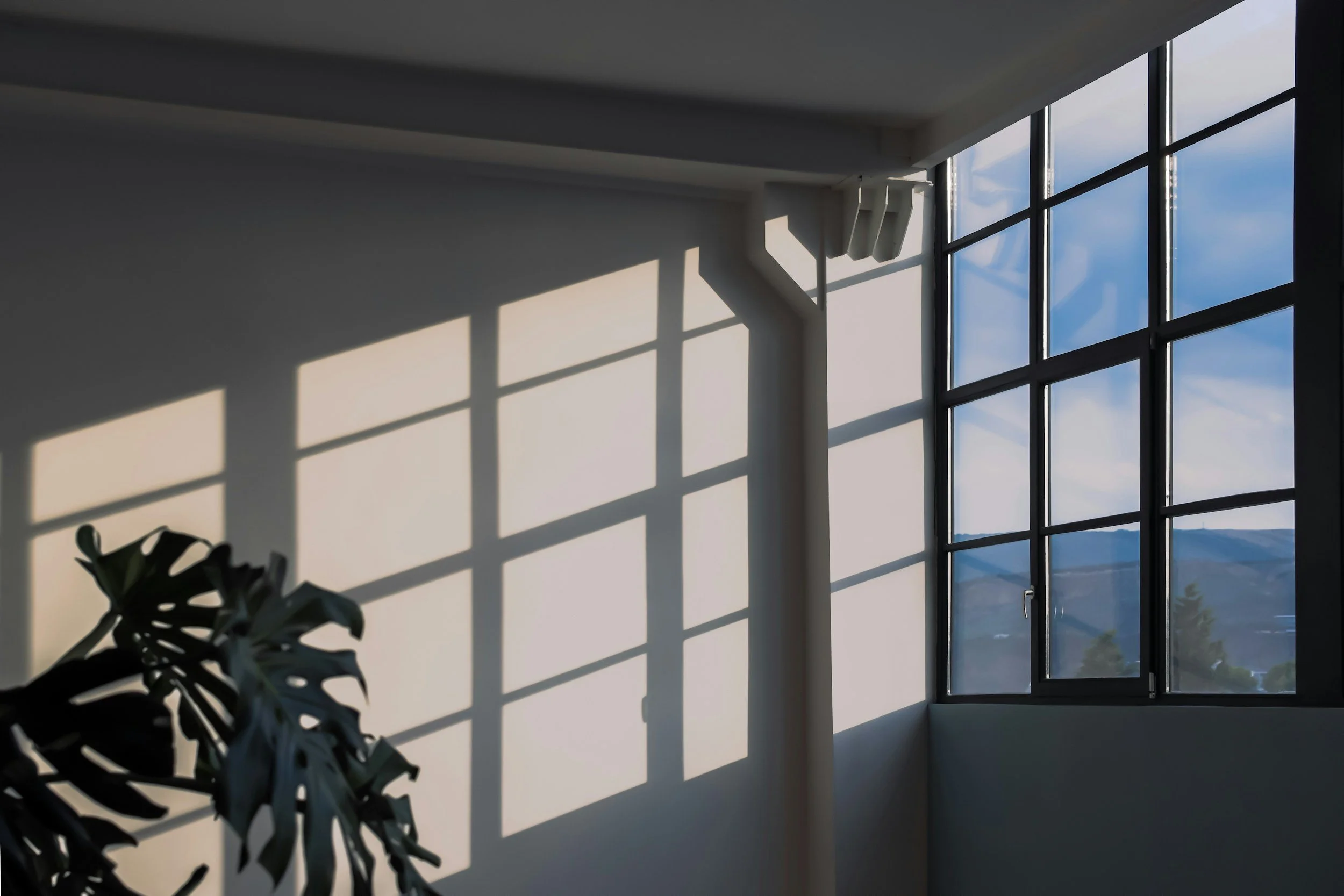 Best time to clean your windows in SLC.