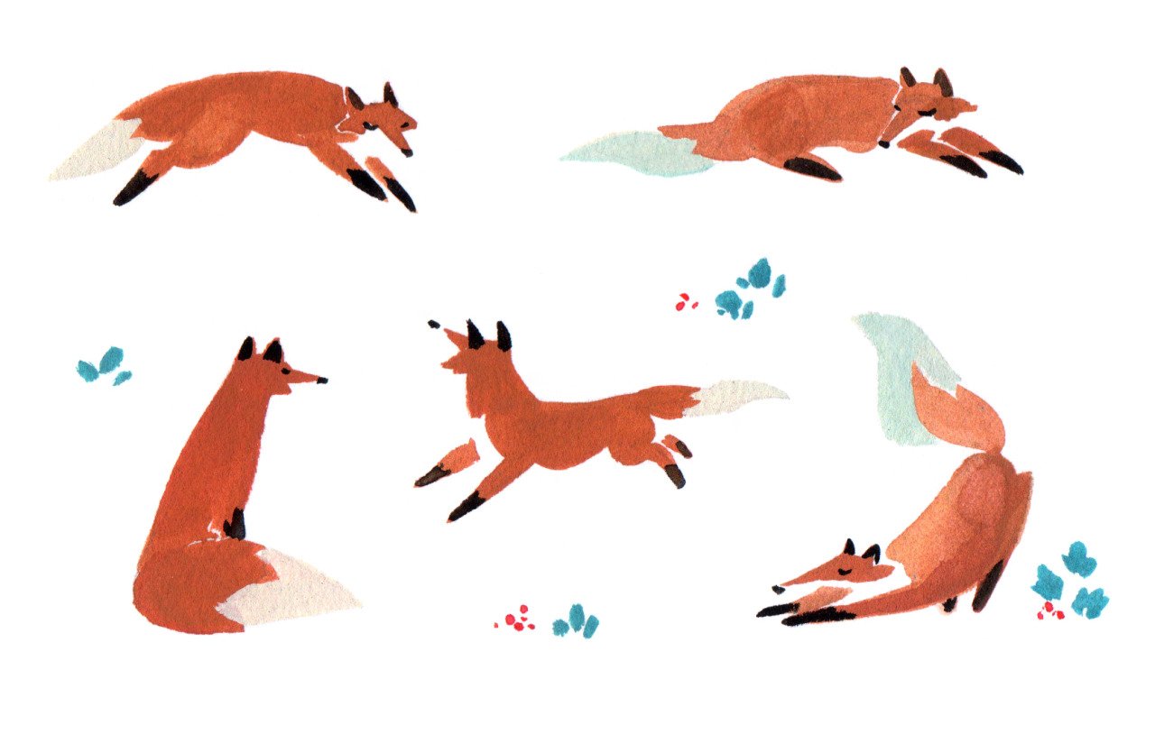 foxes.jpeg