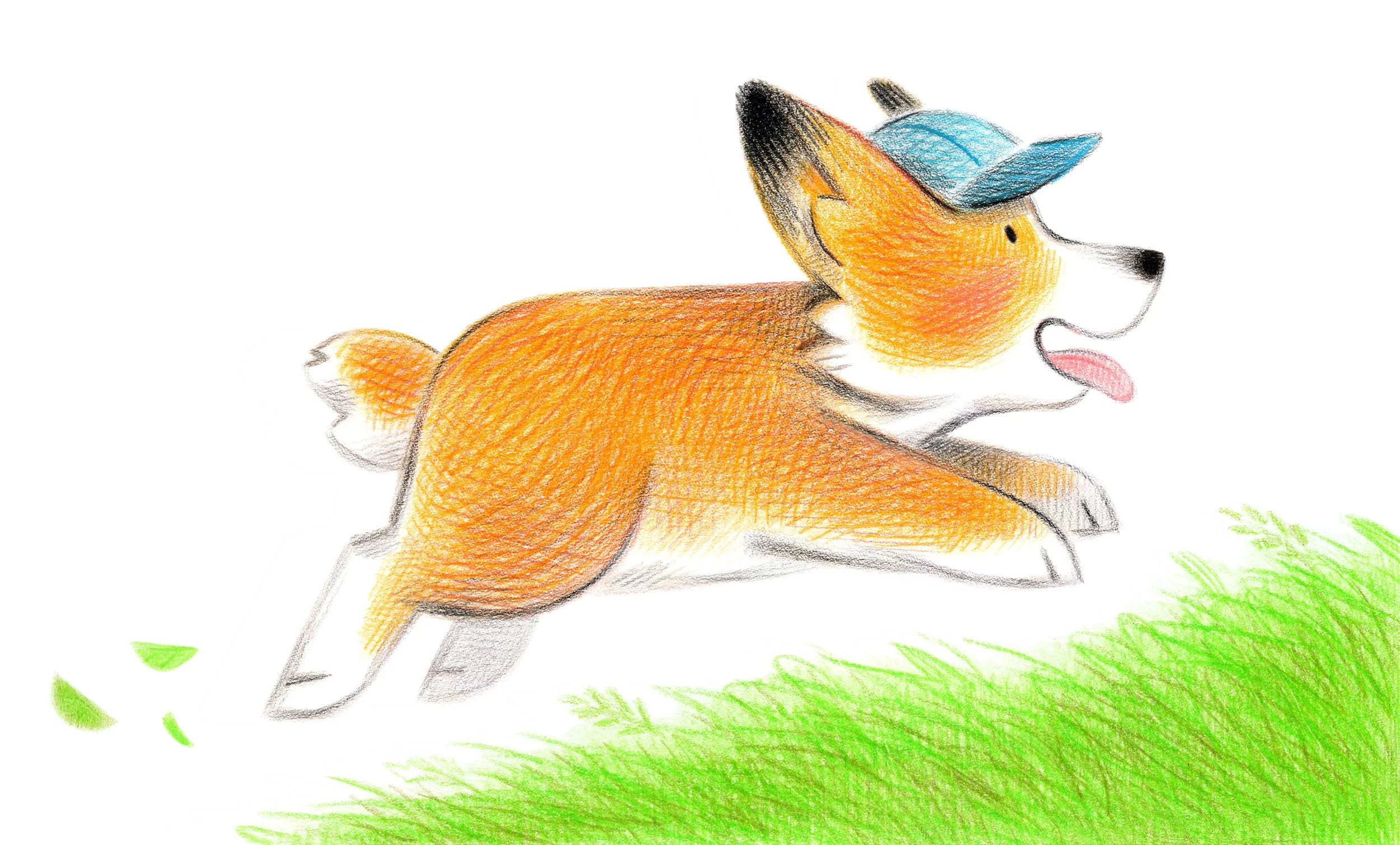 CORGI7 8 copy.jpg