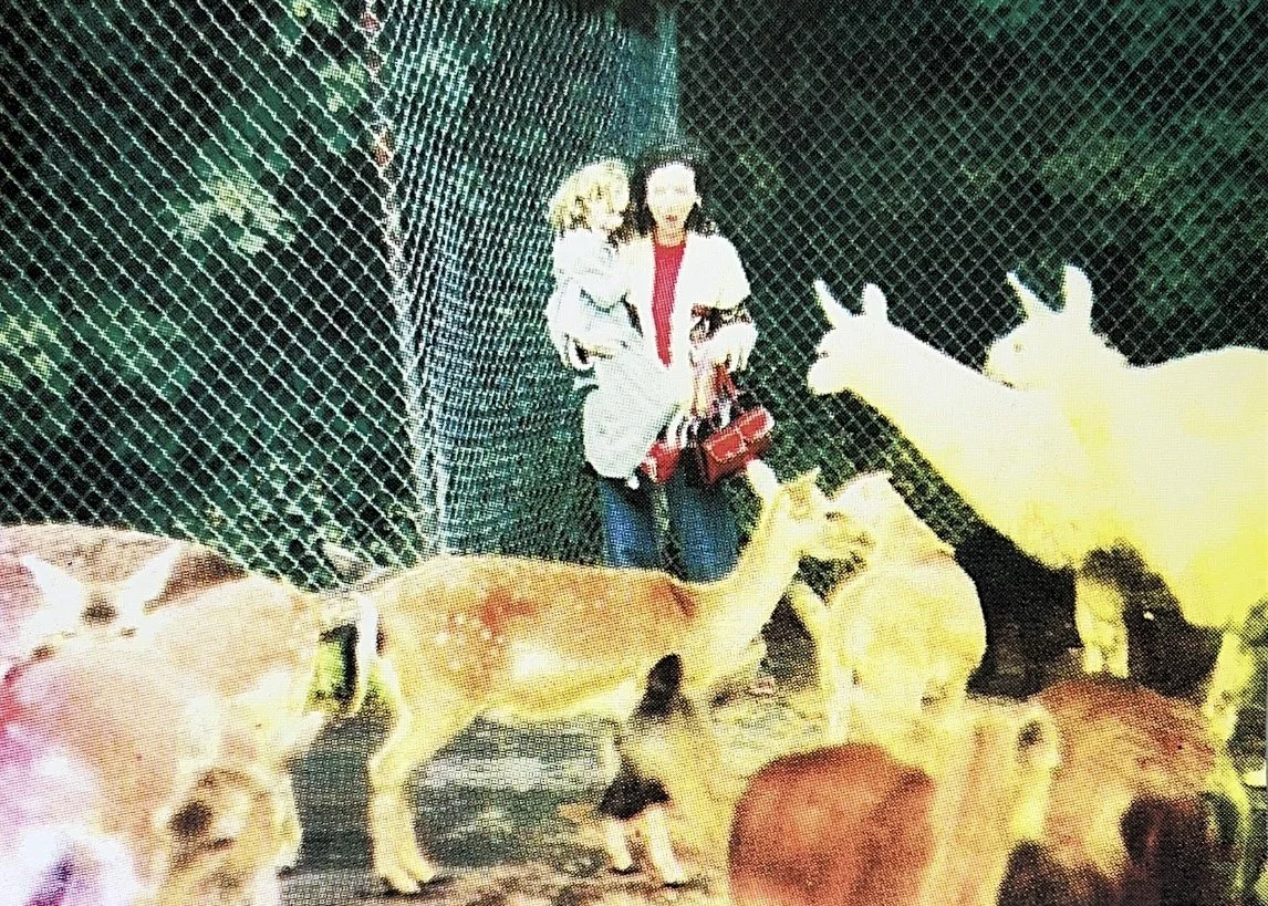 Mahlah & Margda
CMYK Screenprint 2025