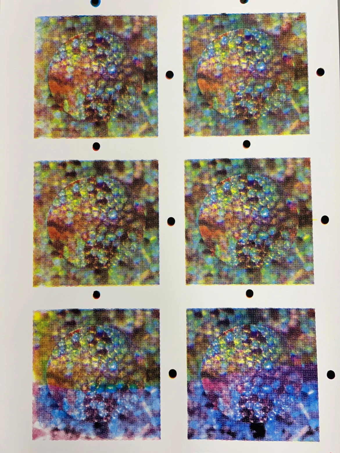 Scarab Prints (for accordion book)
CMYK Screenprint 2025