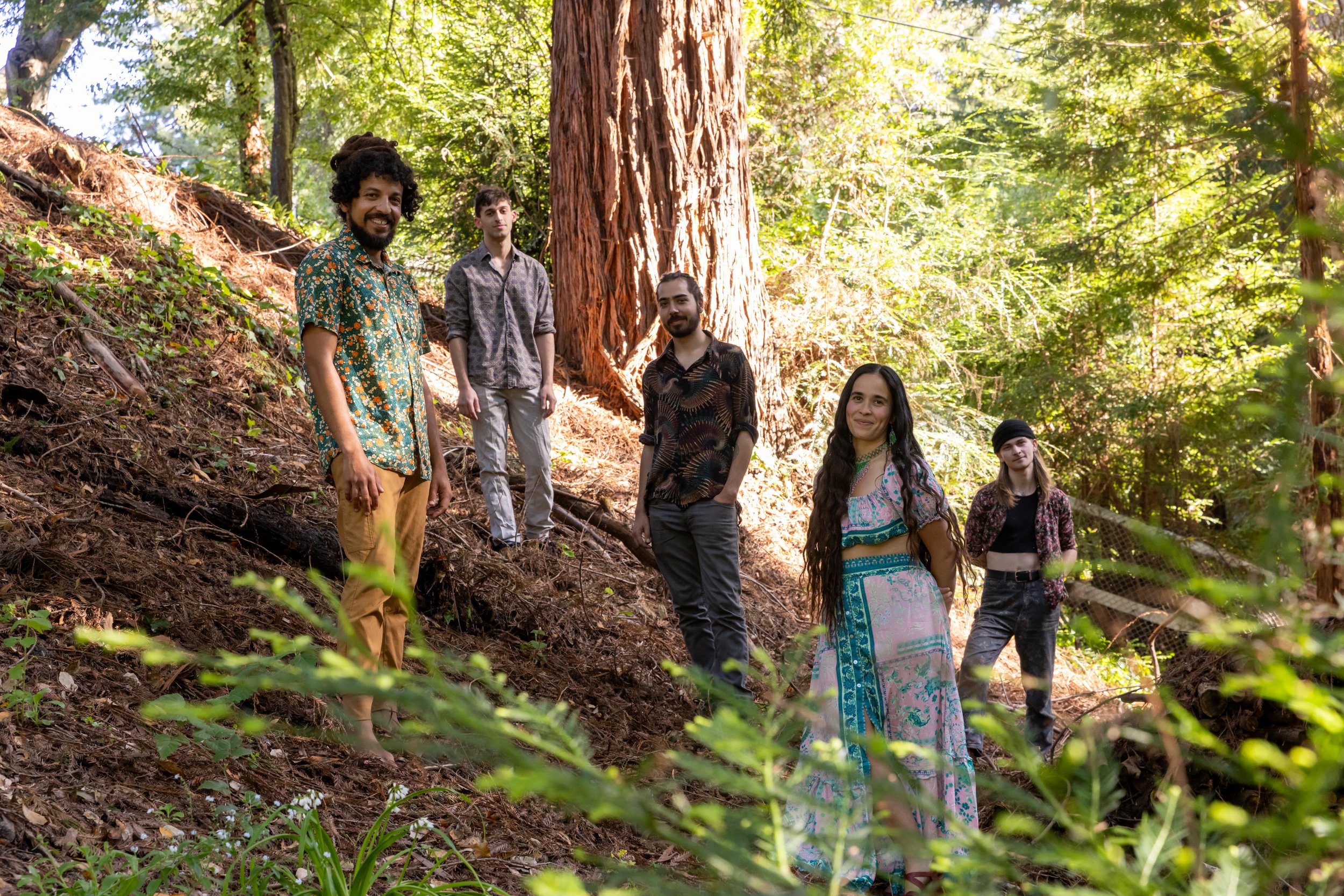 Floratura Debut The Royale SF