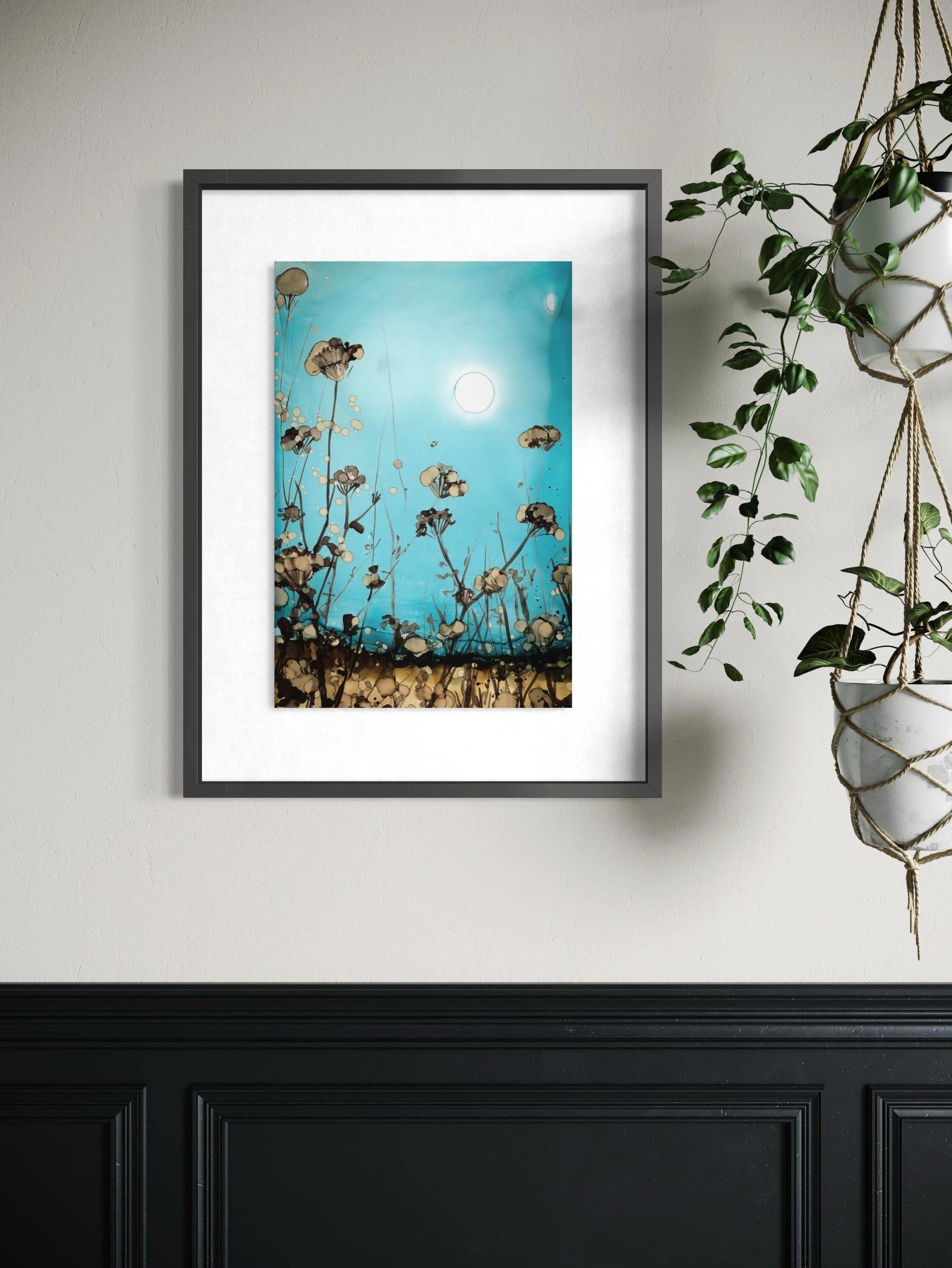 Cow Parsnip - Rachel Wall Fine Art