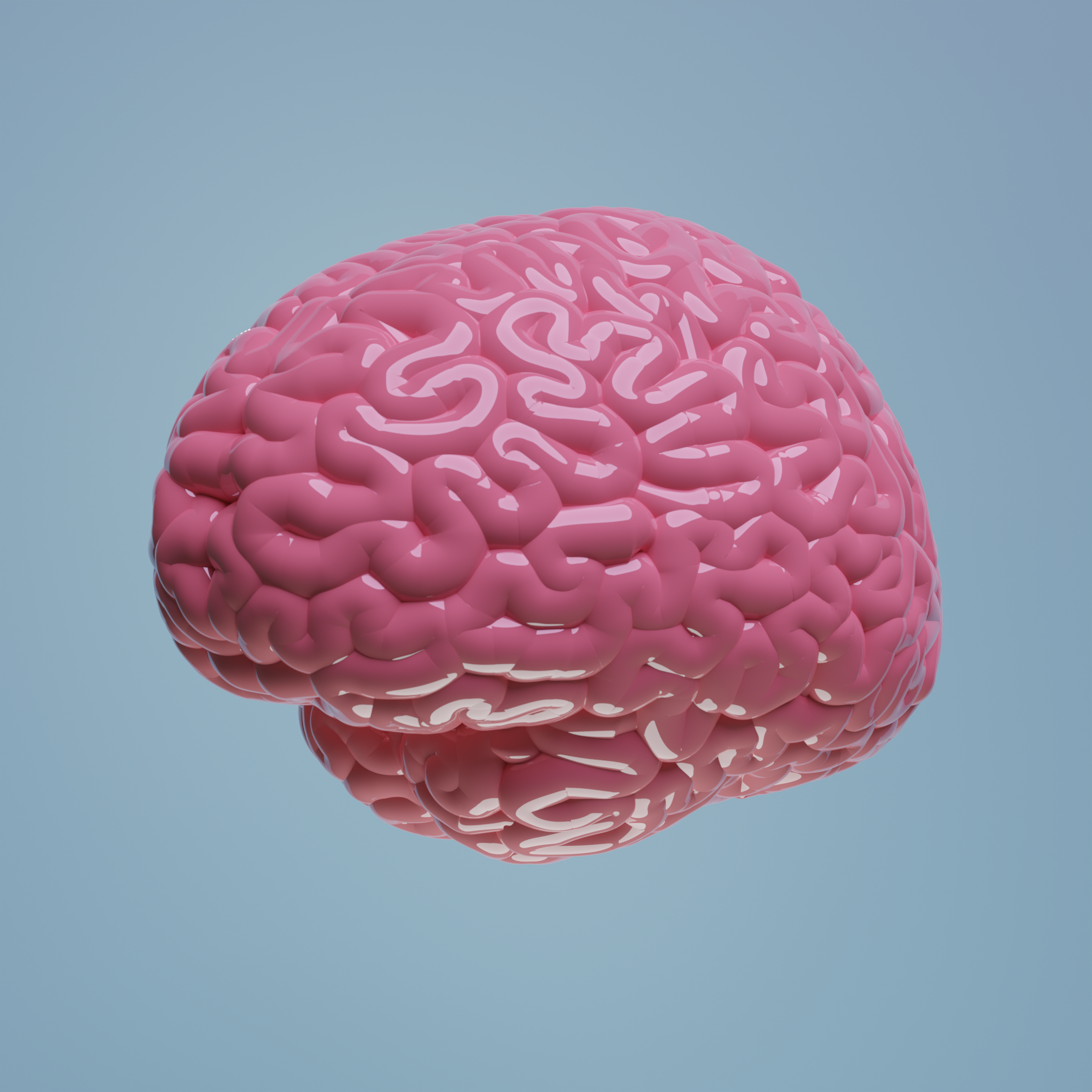 Brain - Personal Project