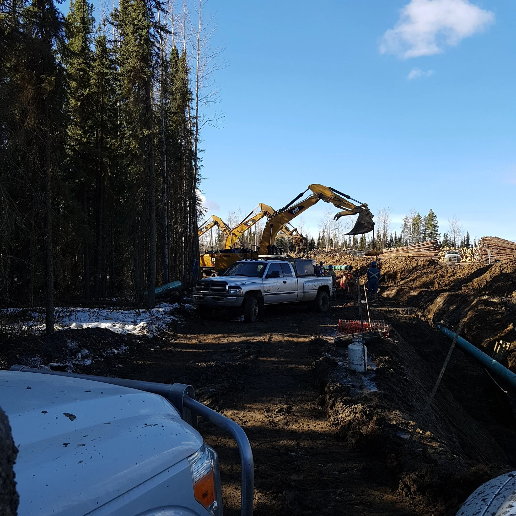 20170329_110835 copy.jpg