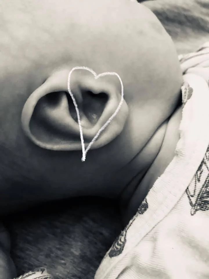 Ford's Heart Ear.jpg