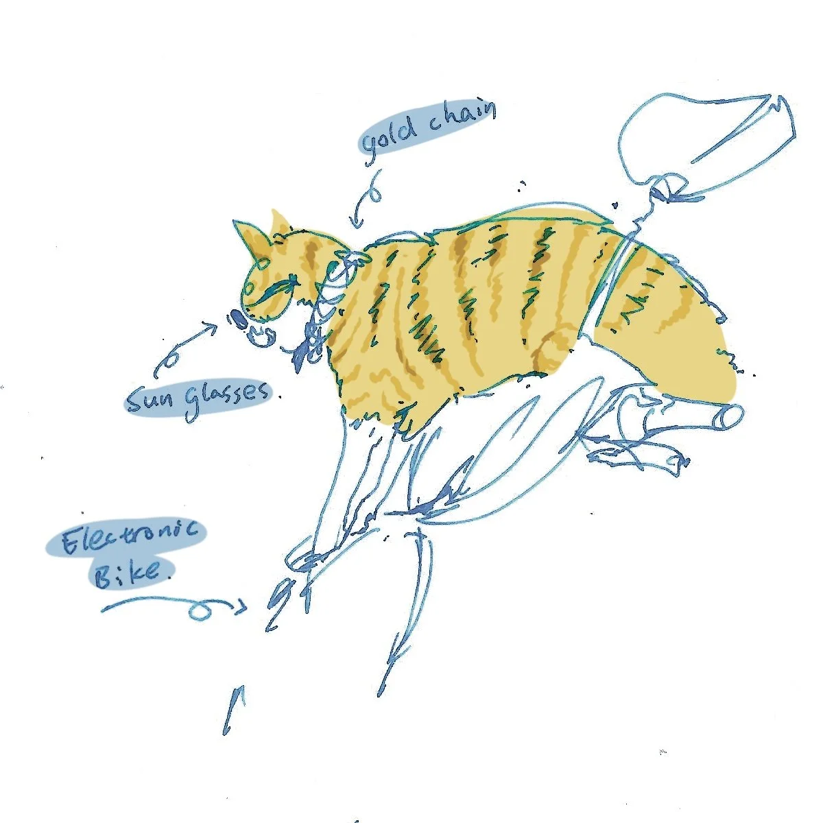 cat.JPG