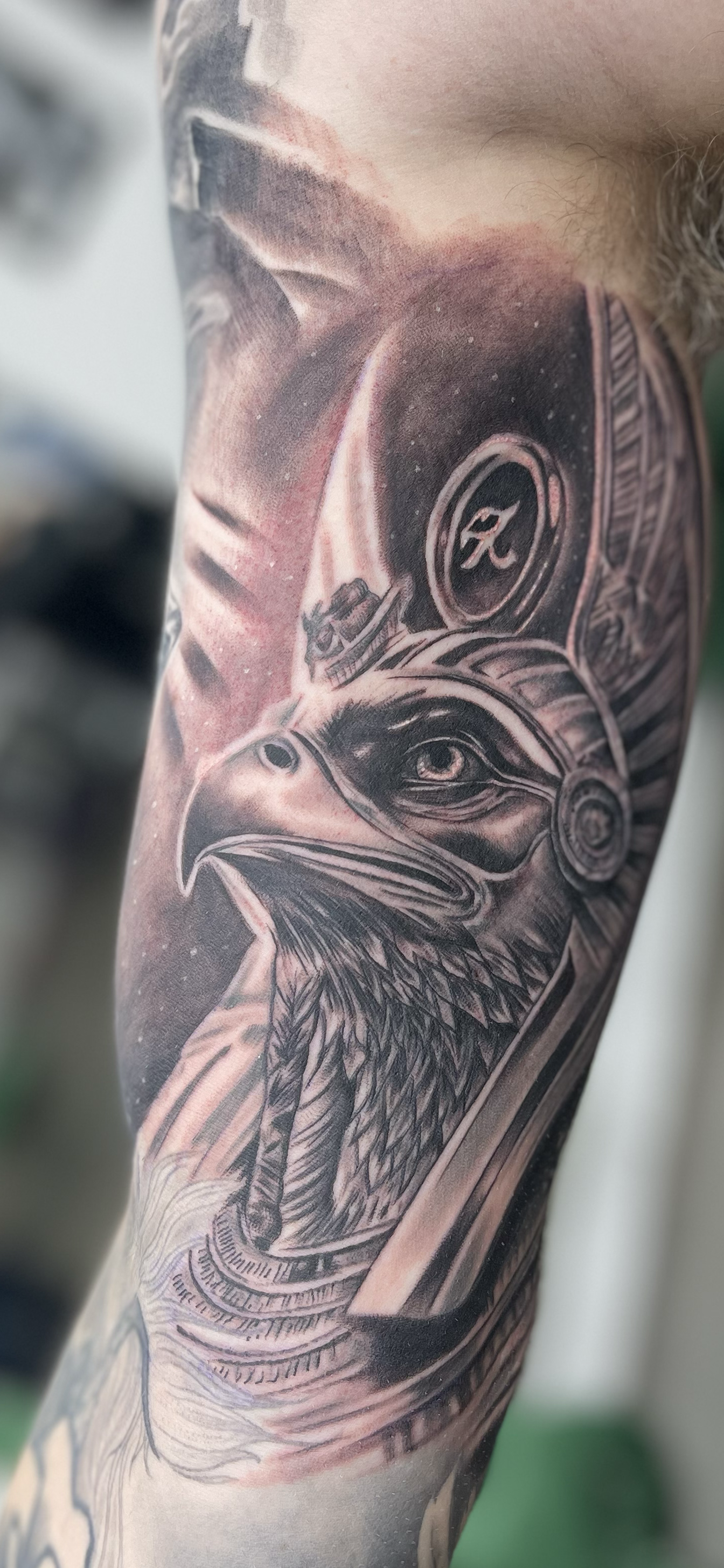 tattoobyalbert.bird.pharaoh.egypt.png