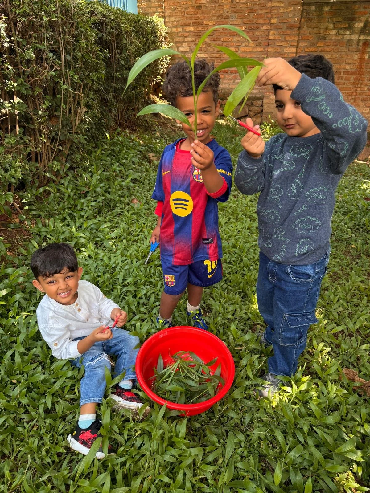 pic_grass cutting.jpeg