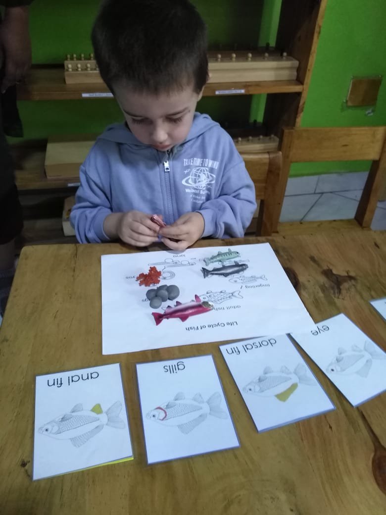 cody parts of a fish.jpeg