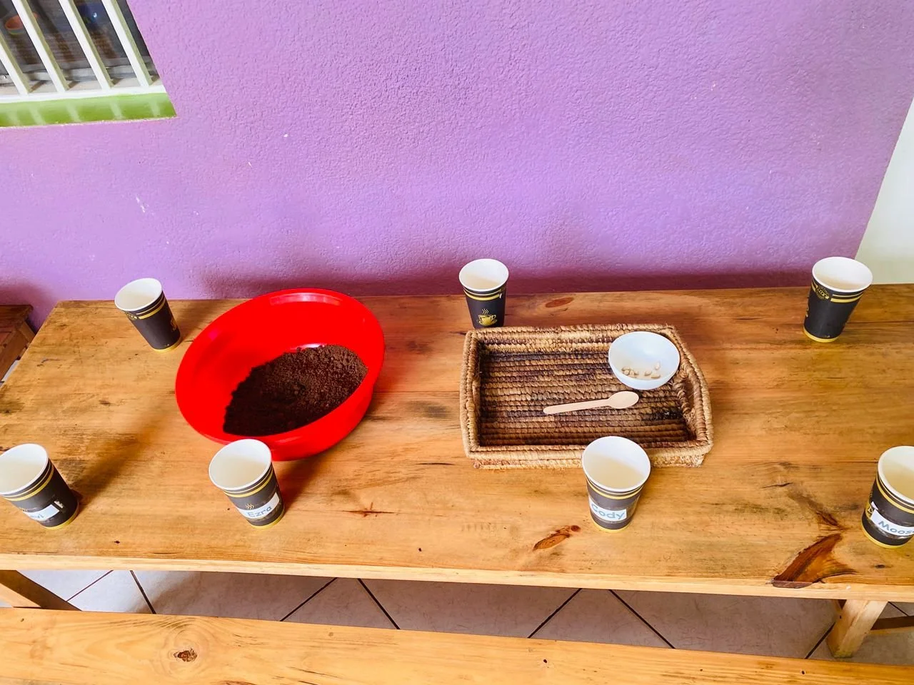 Planting set-up.jpeg