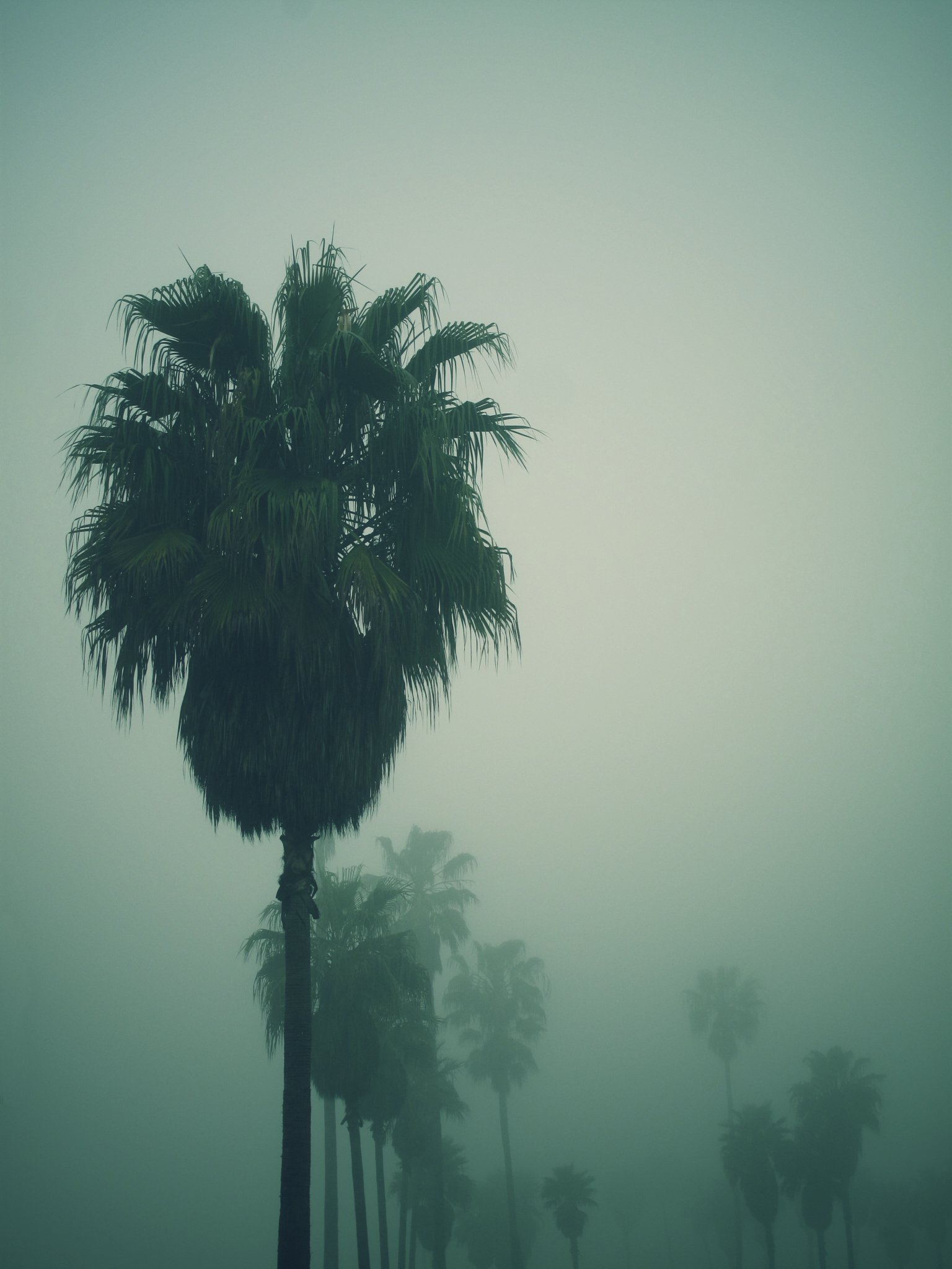 05_Foggy Morning.jpg