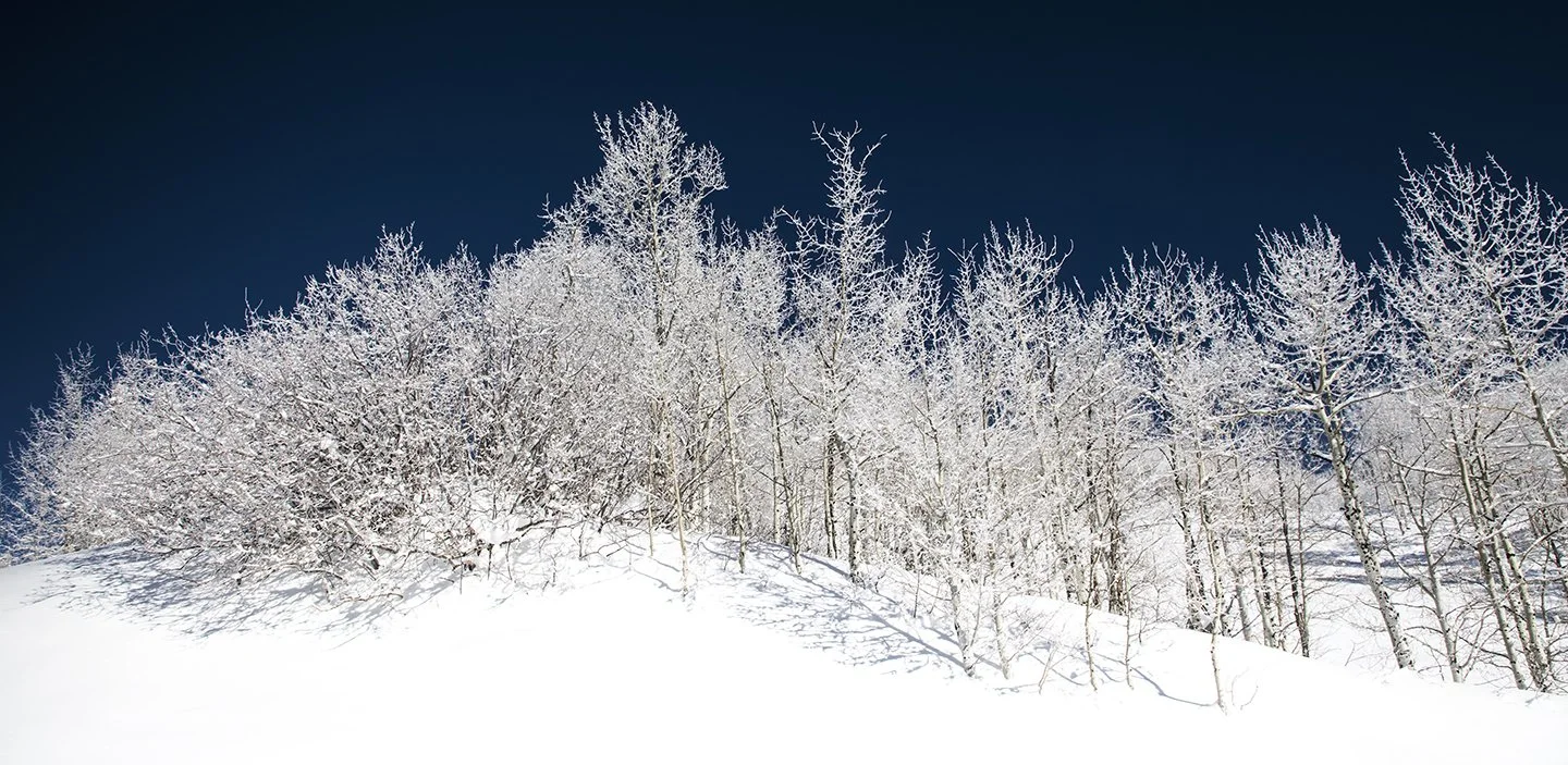 Aspen.jpg