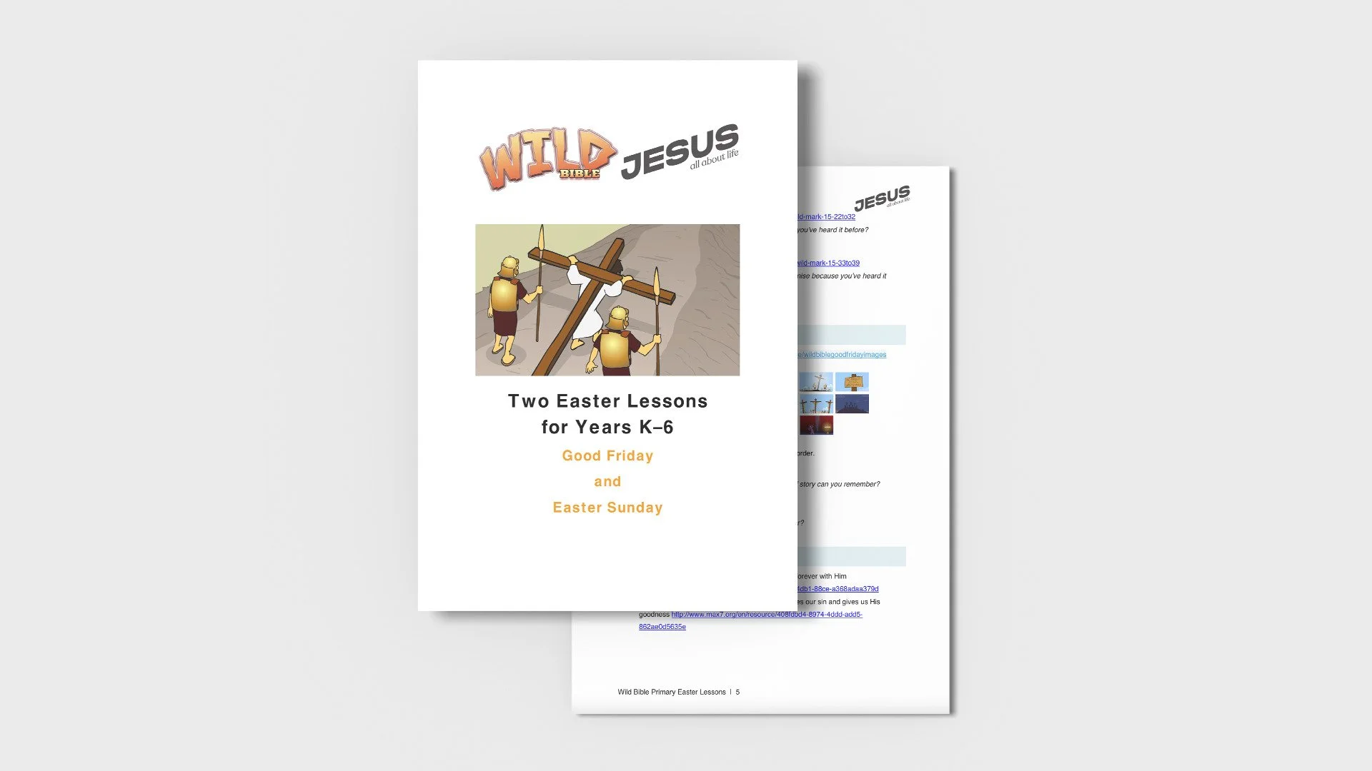 WILD BIBLE PRIMARY SCHOOL