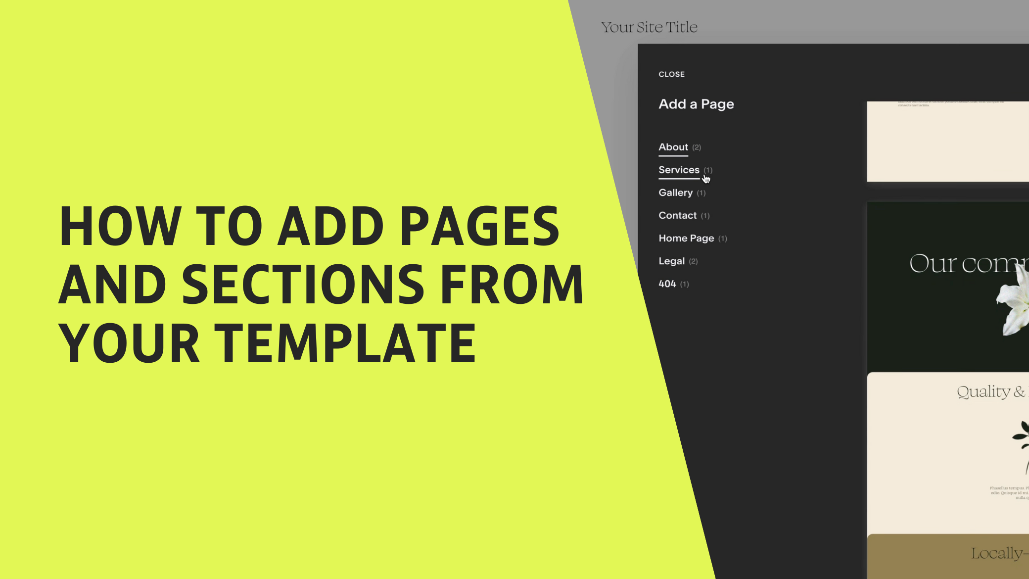 Templates — Squarespace Tutorials for No-Code Custom Design ...