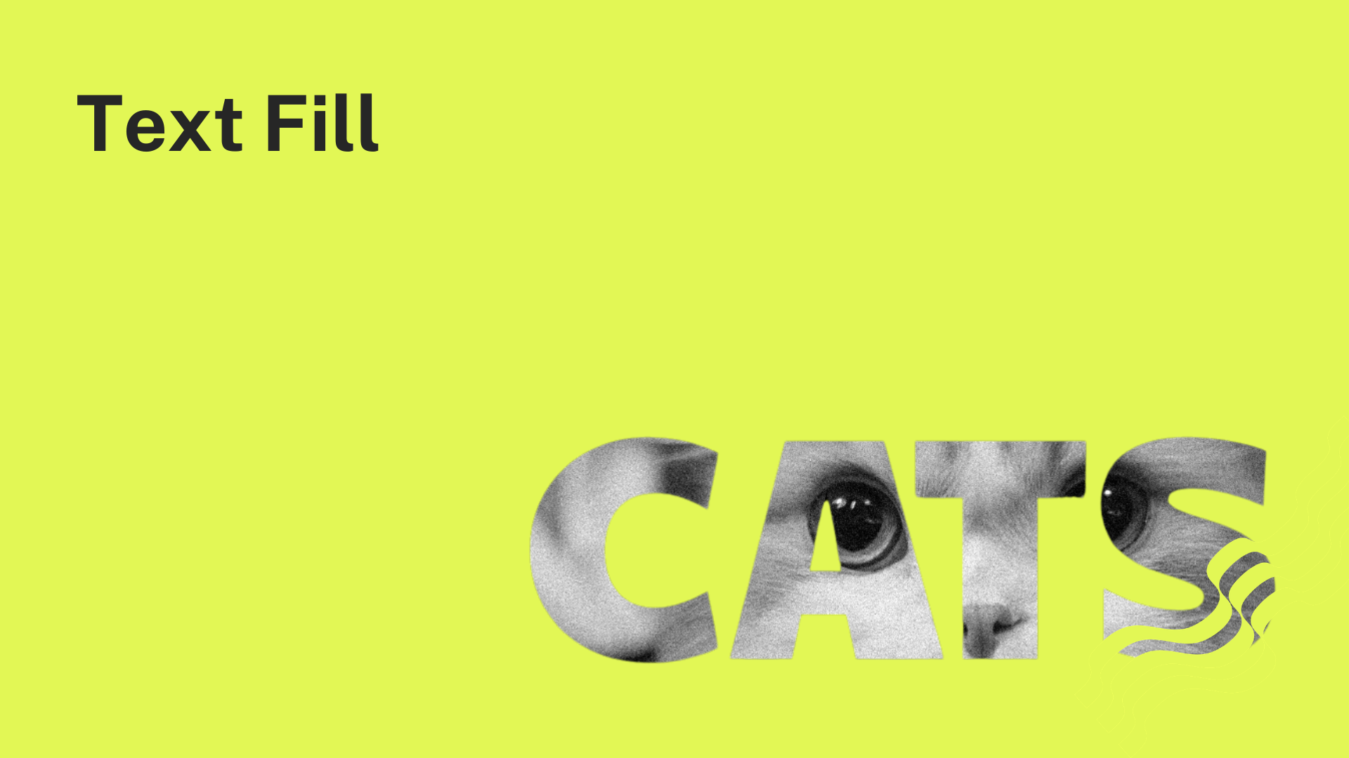 How to create image-filled text in Squarespace with SquareKicker Text Fill
