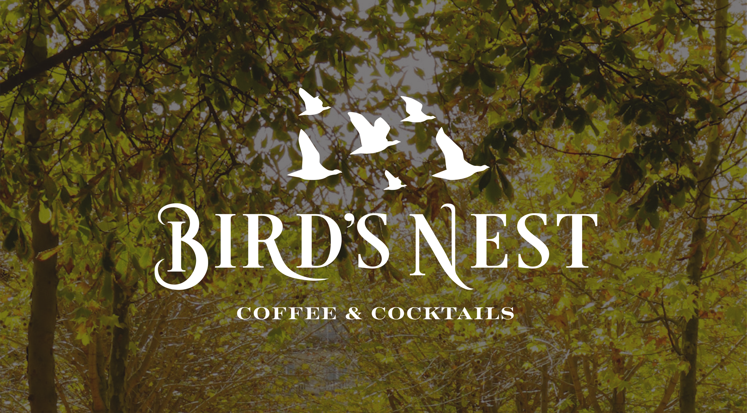 Birds Nest Final-01.png