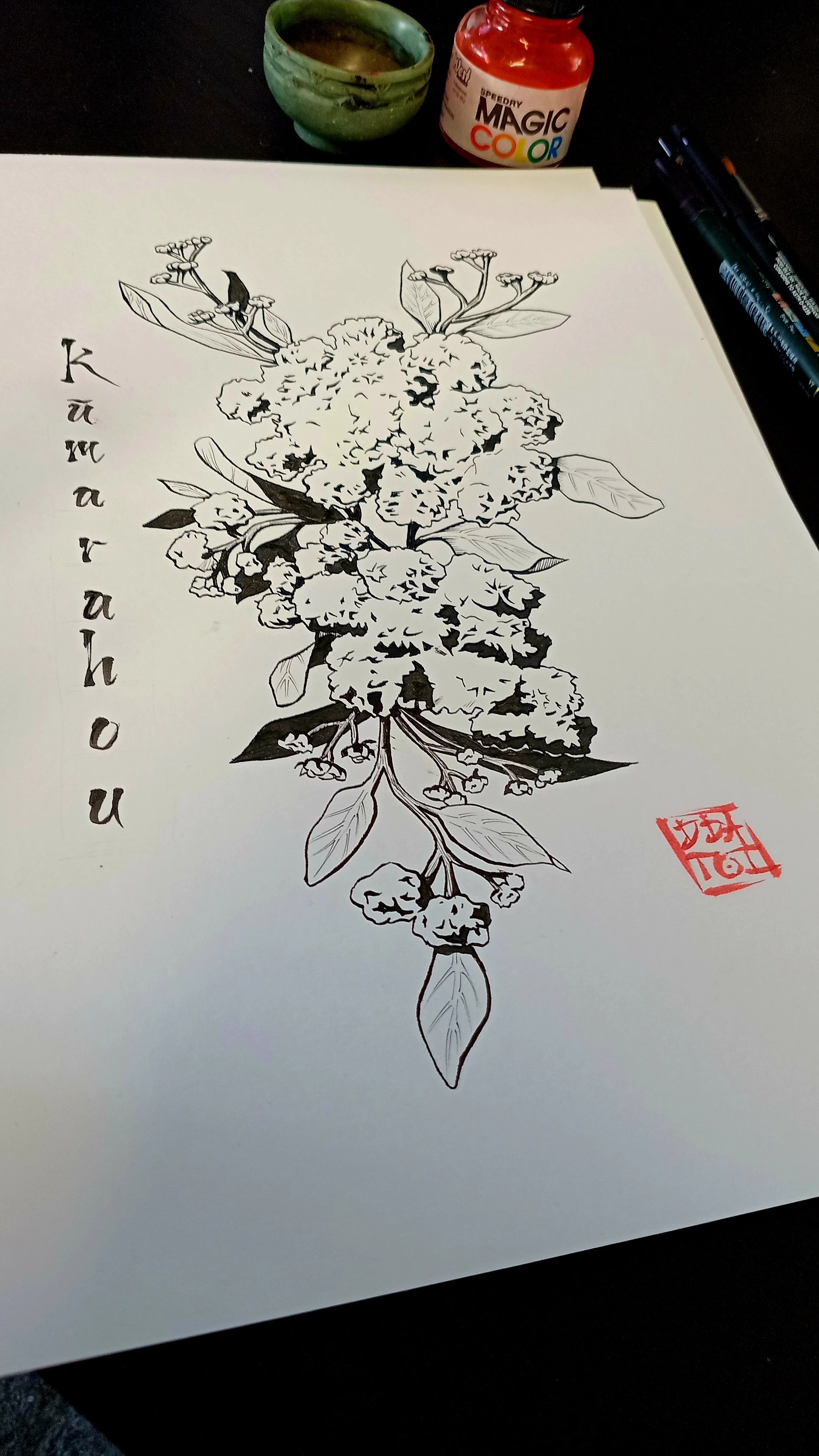 Photo-Kumarahou.jpg