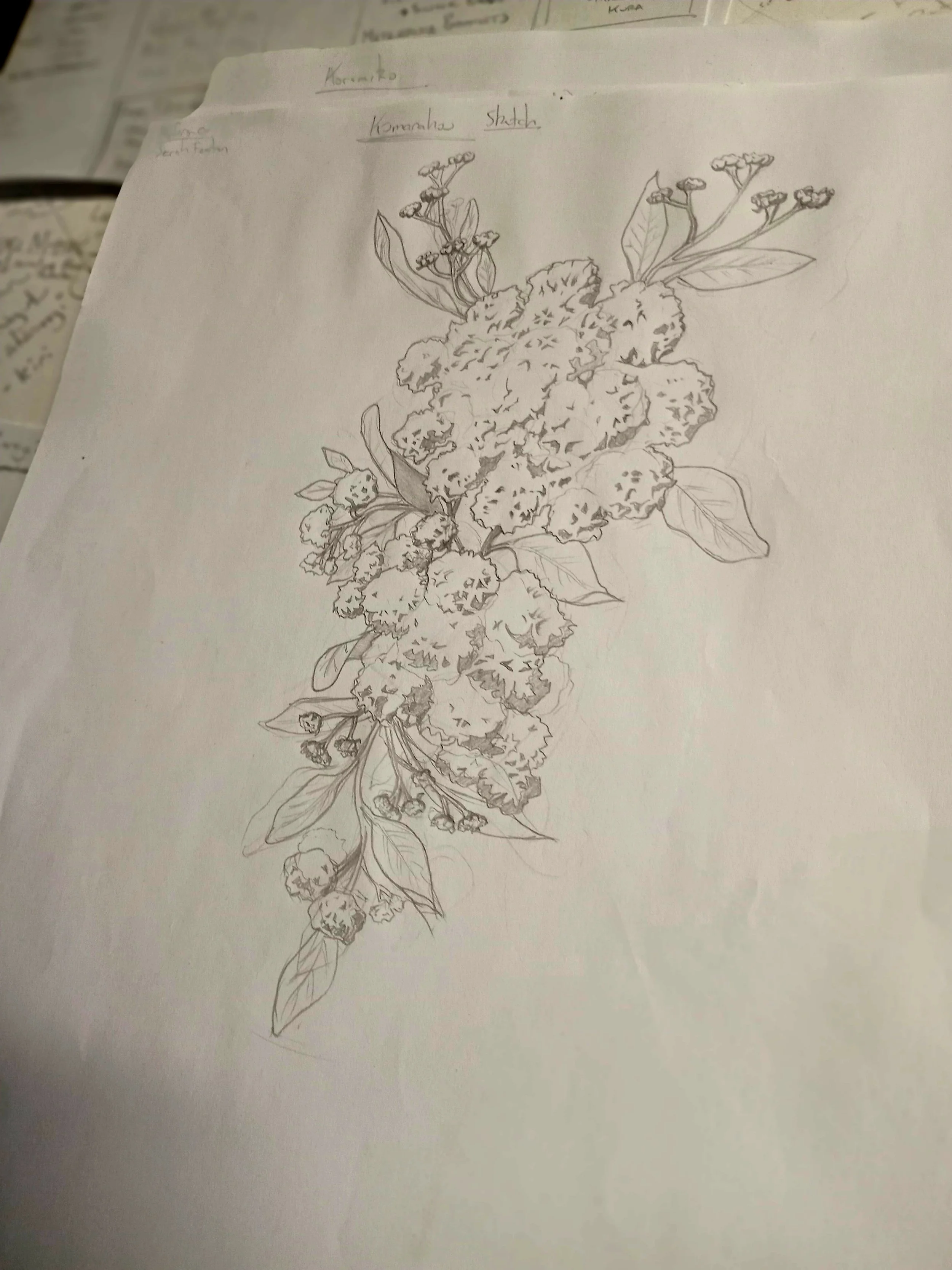 Rongoa_pencils_kumarahou.jpg