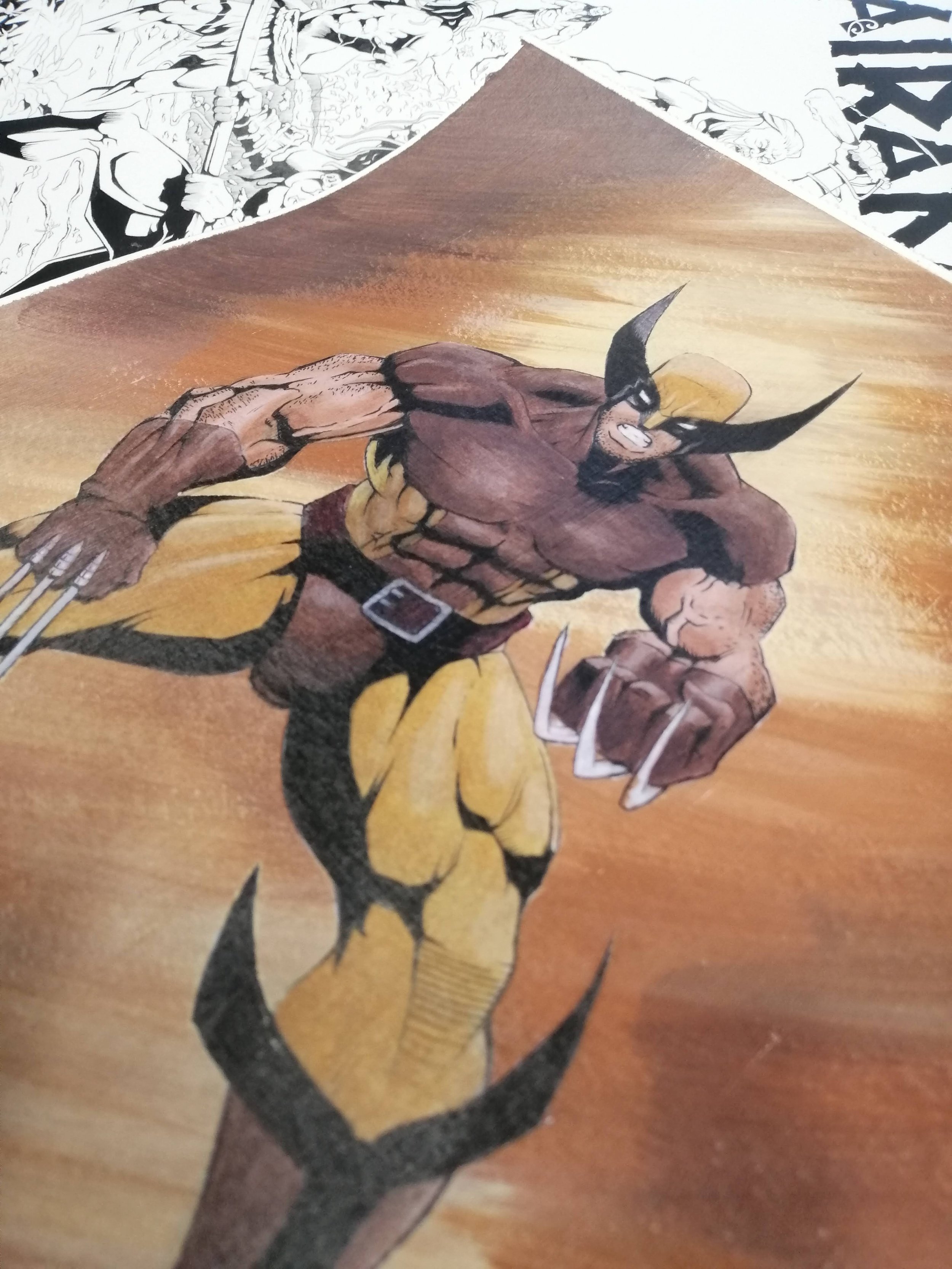 Wolverine2.jpeg
