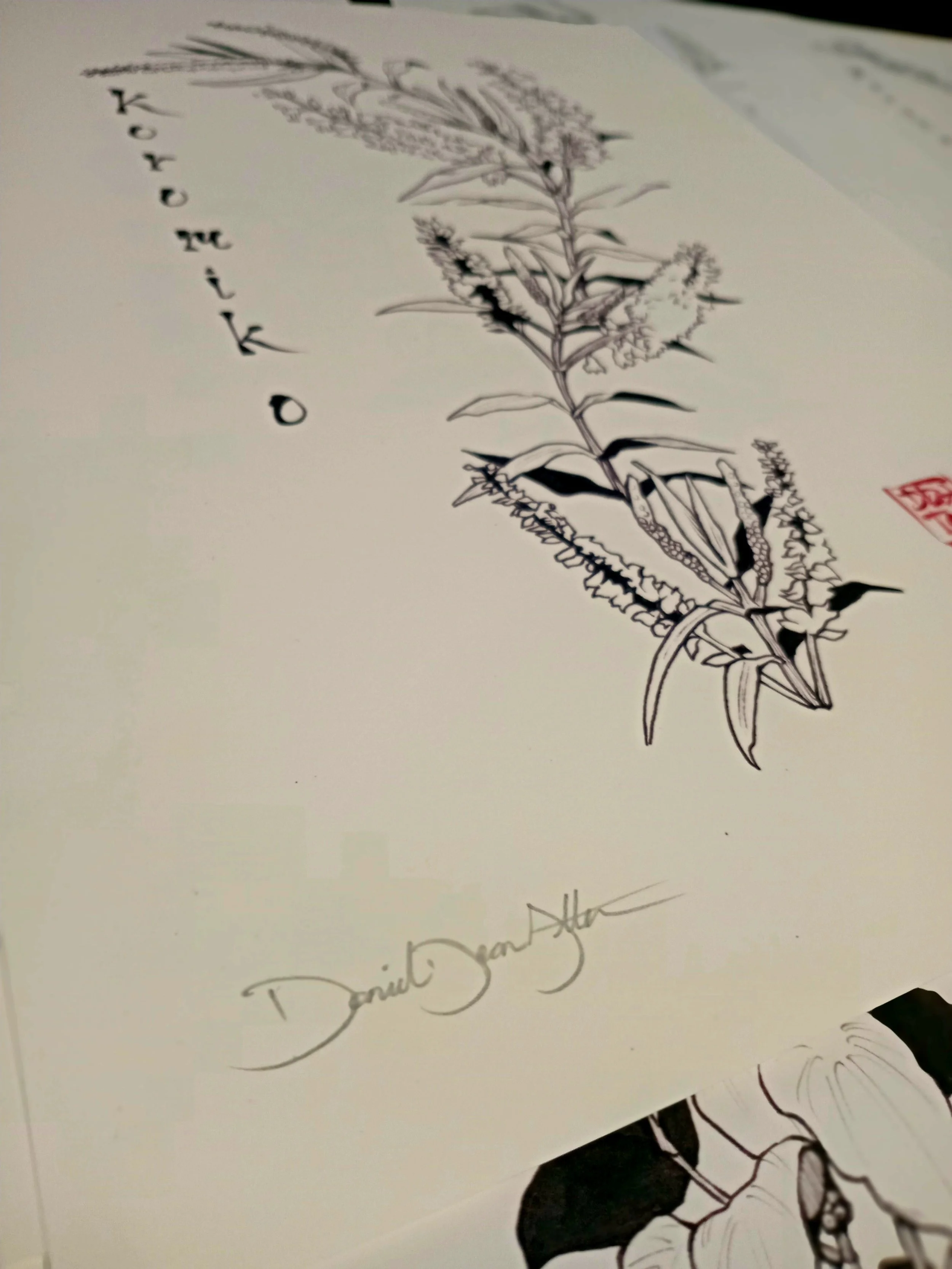 rongoā-māori_koromiko_sign.jpg