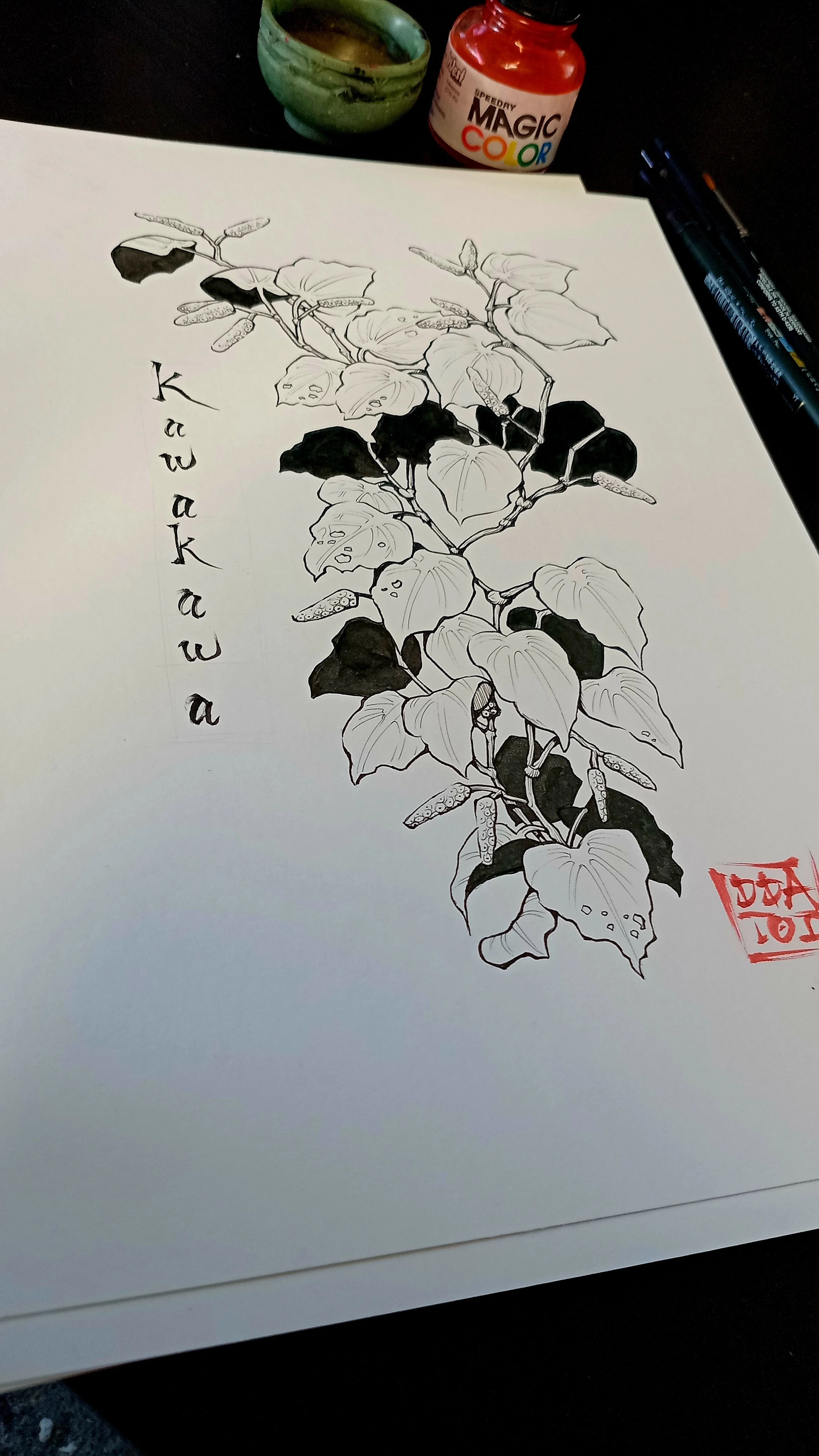 Photo-Kawakawa.jpg