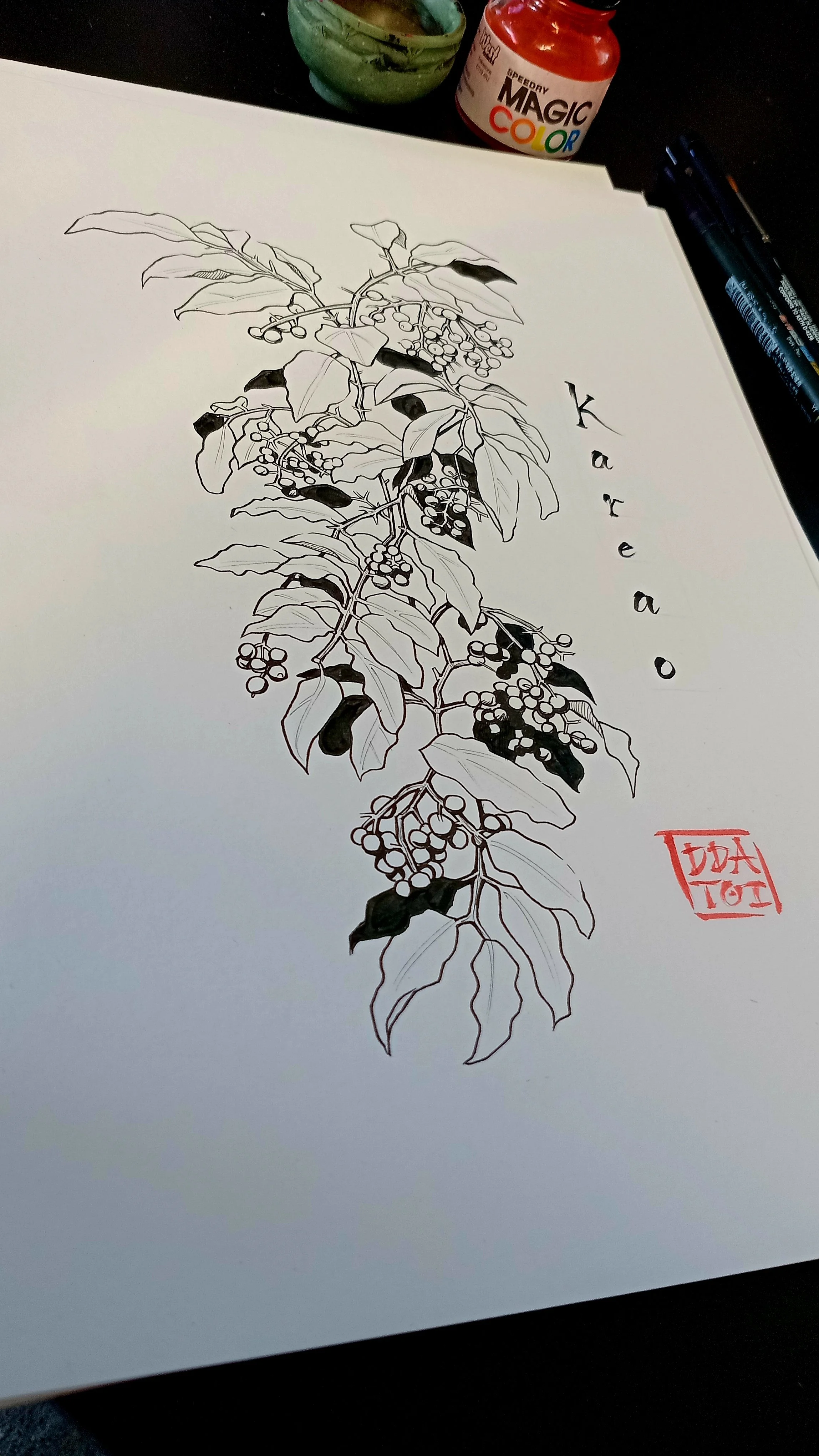 Photo-Kareao.jpg