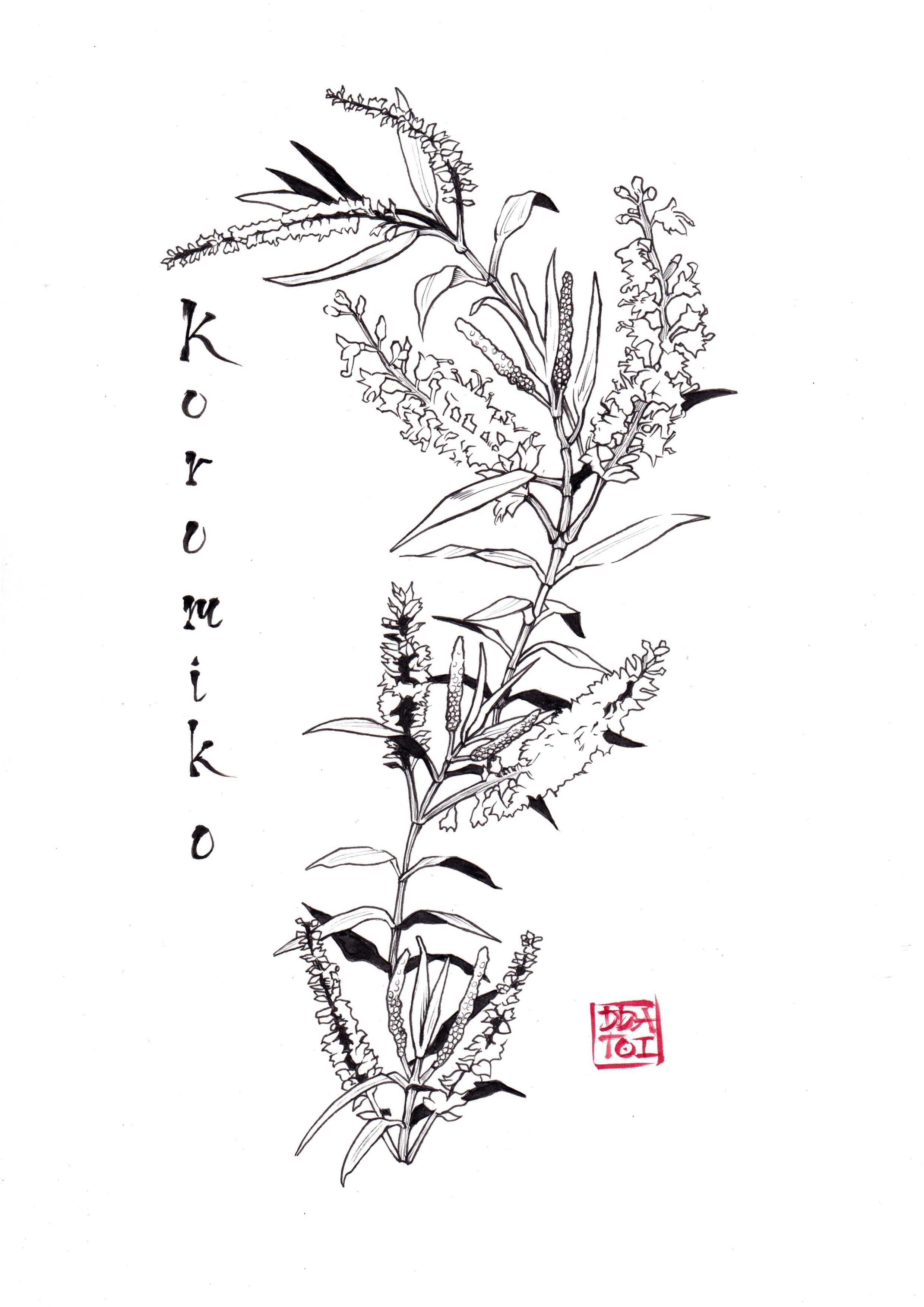 Koromiko Rongoā Māori Art Print