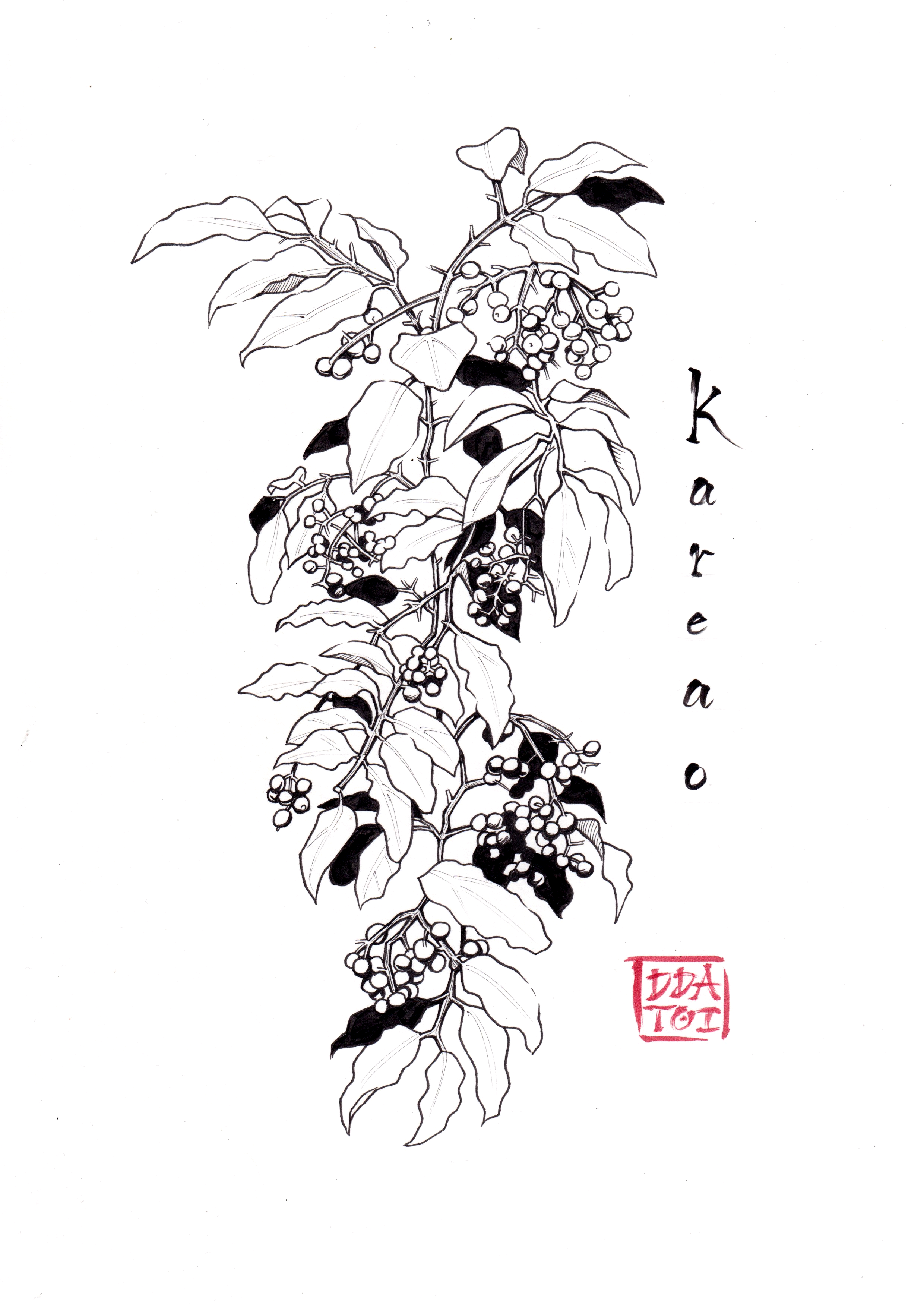 Kareao Rongoā Māori Art Print