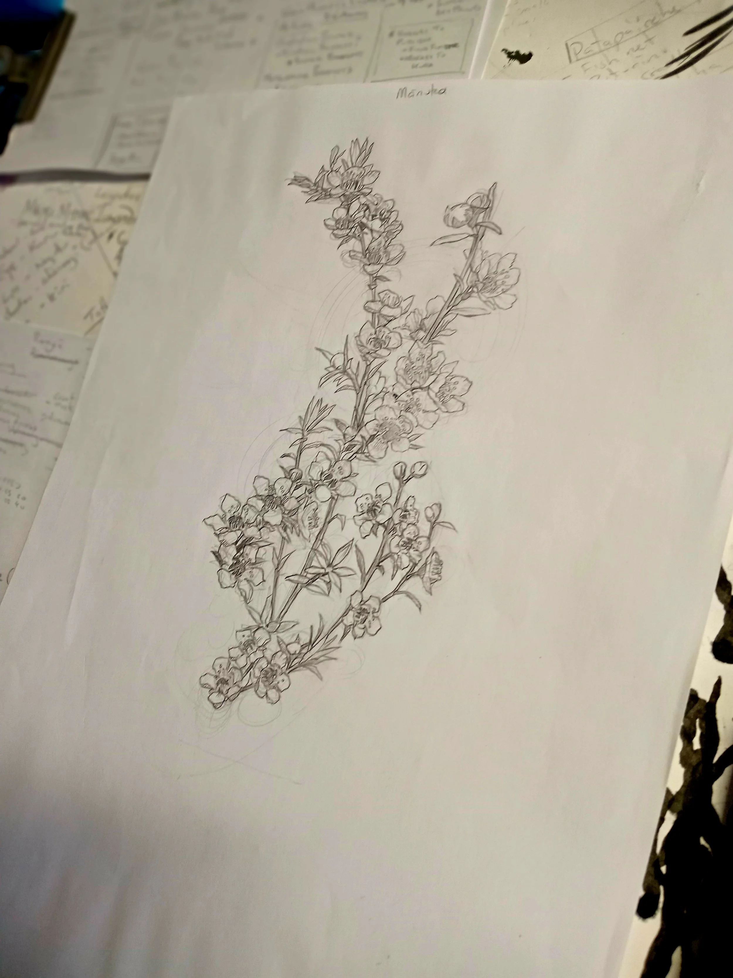Rongoa_pencils_manuka.jpg