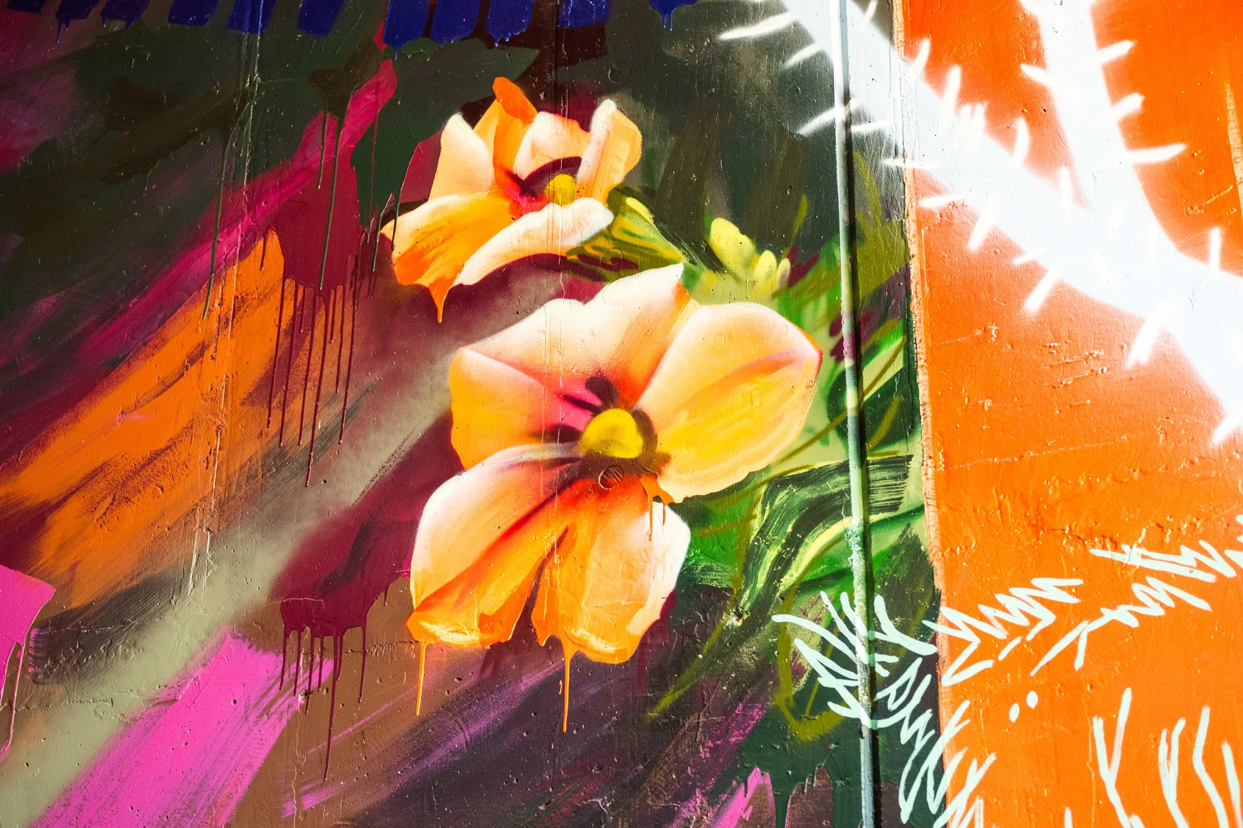 Vibrant street art mural featuring orange and yellow flowers with green leaves against a multicolored, abstract background with splashes of pink and purple.